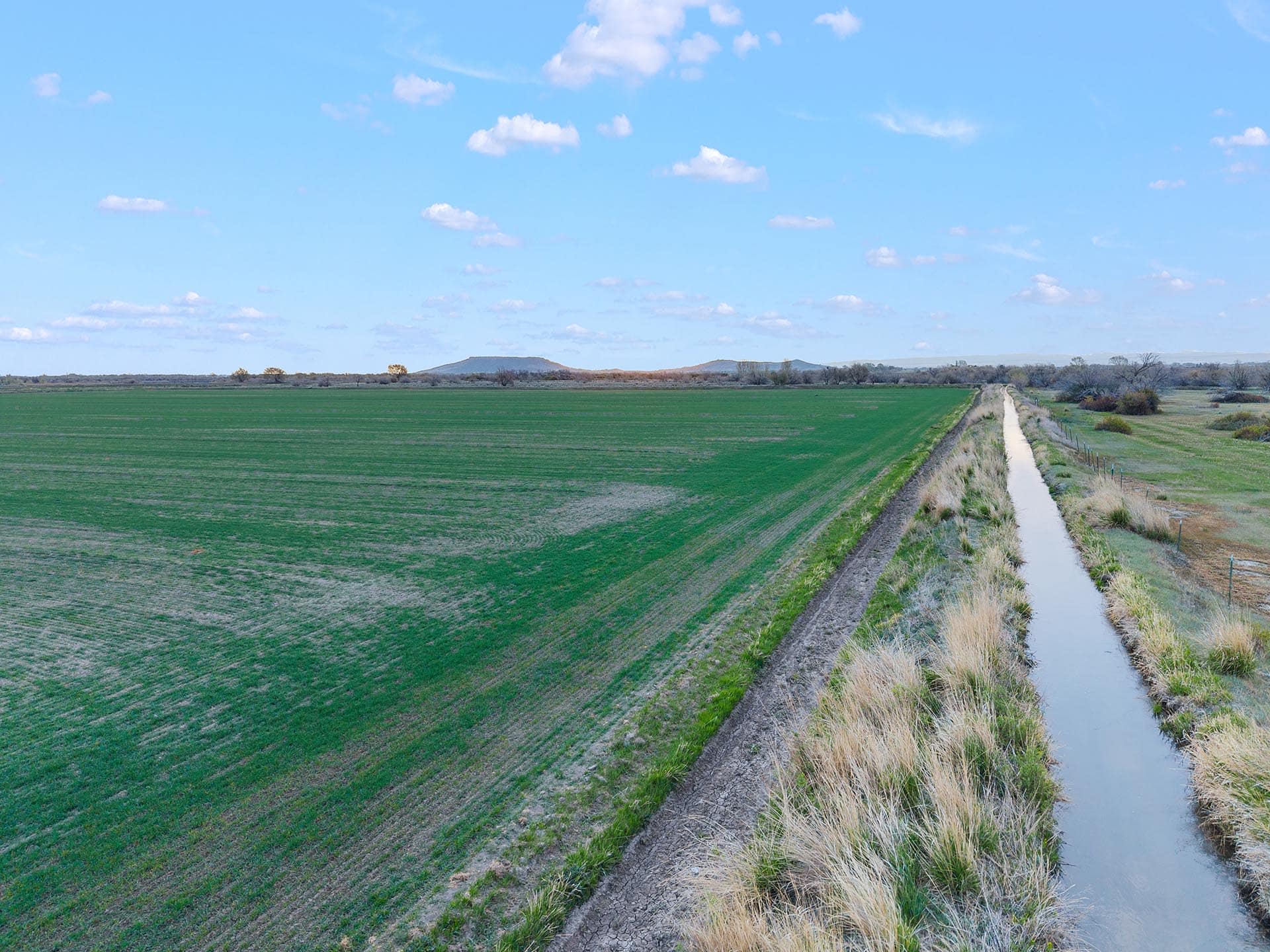 irrigated green field with canal ranch for sale idaho oxbow crescent