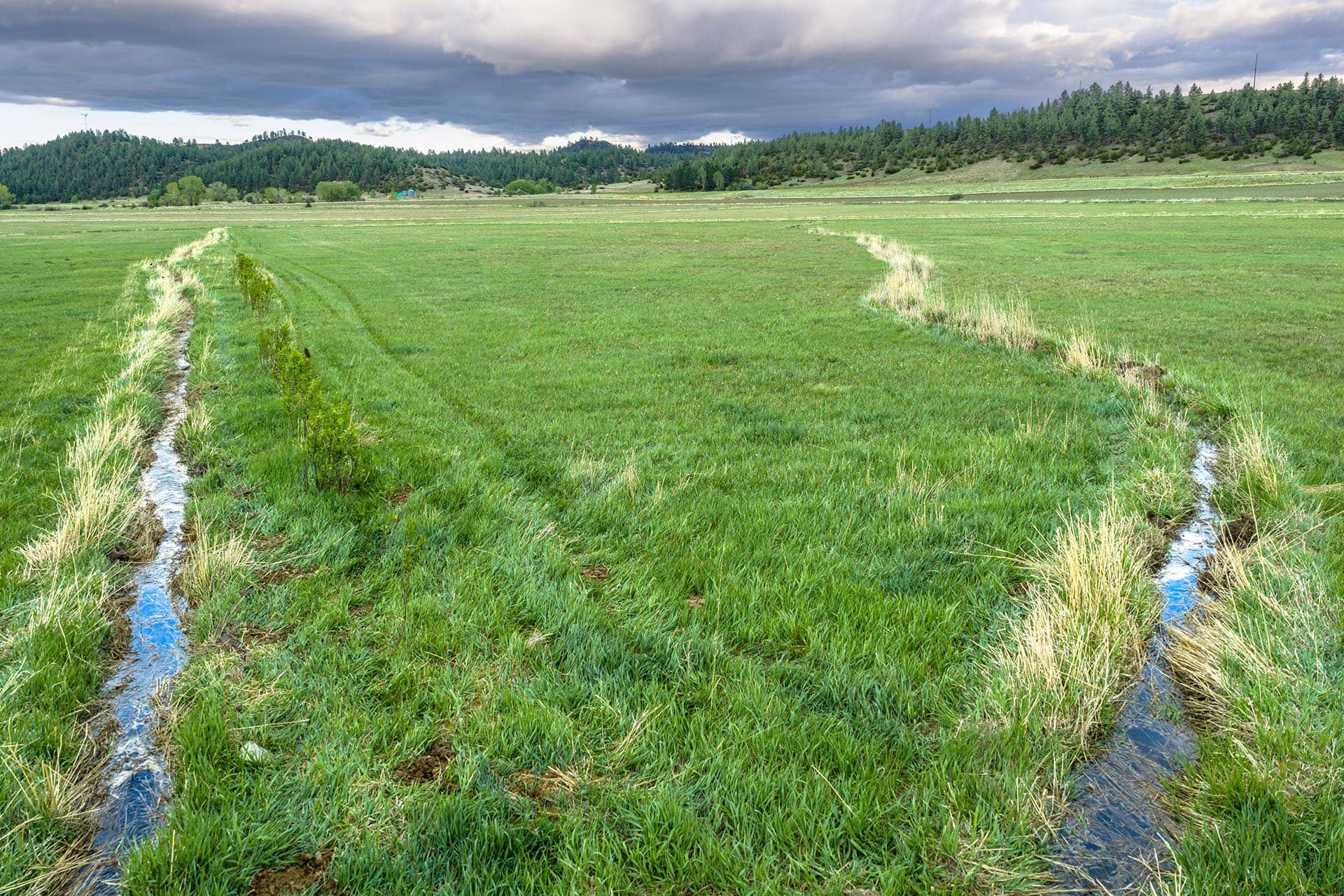 irrigated green fields with ditches land montana stillwater riffle ranch