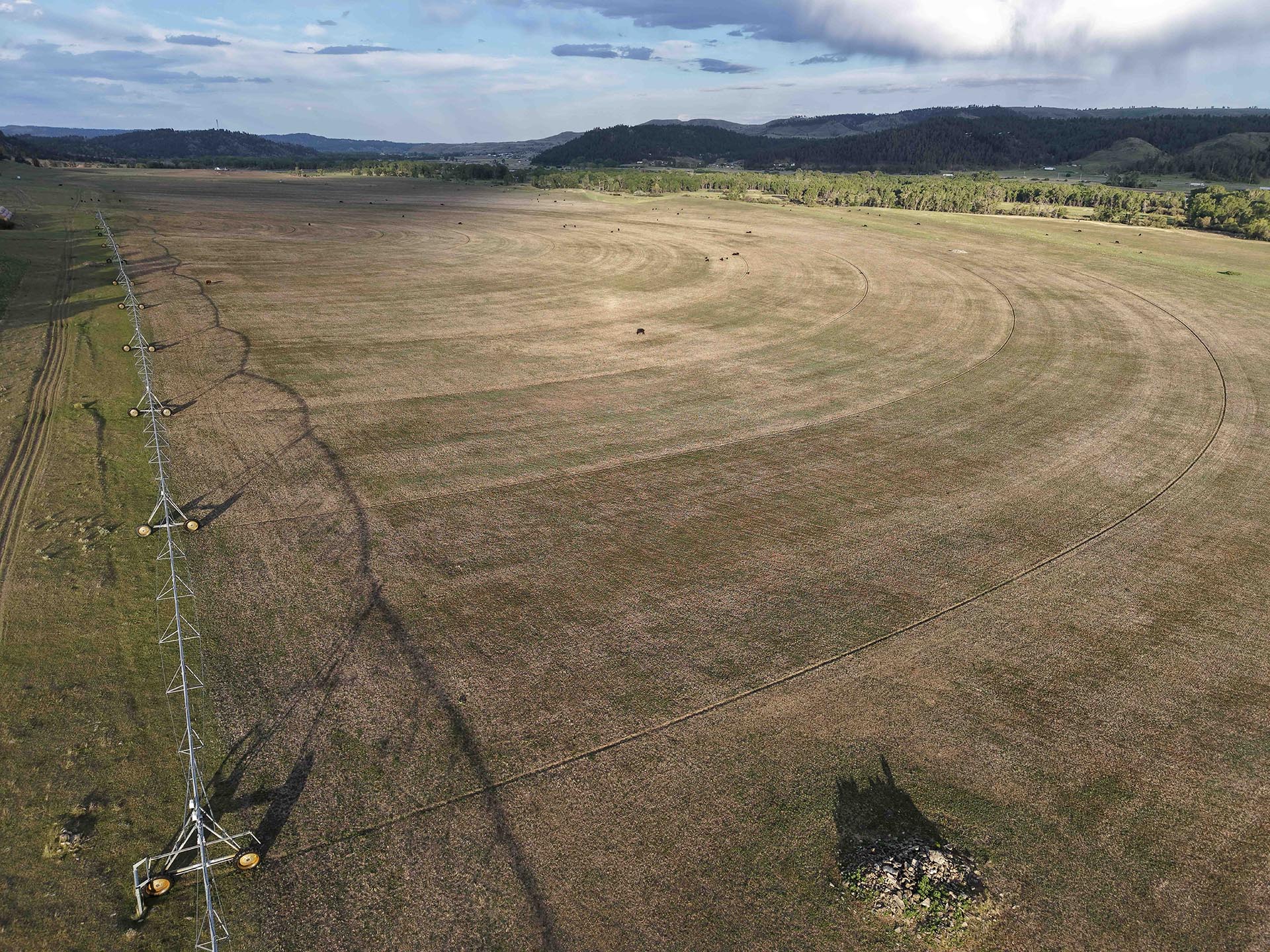 irrigated land for sale montana springtime ranch on the yellowstone river