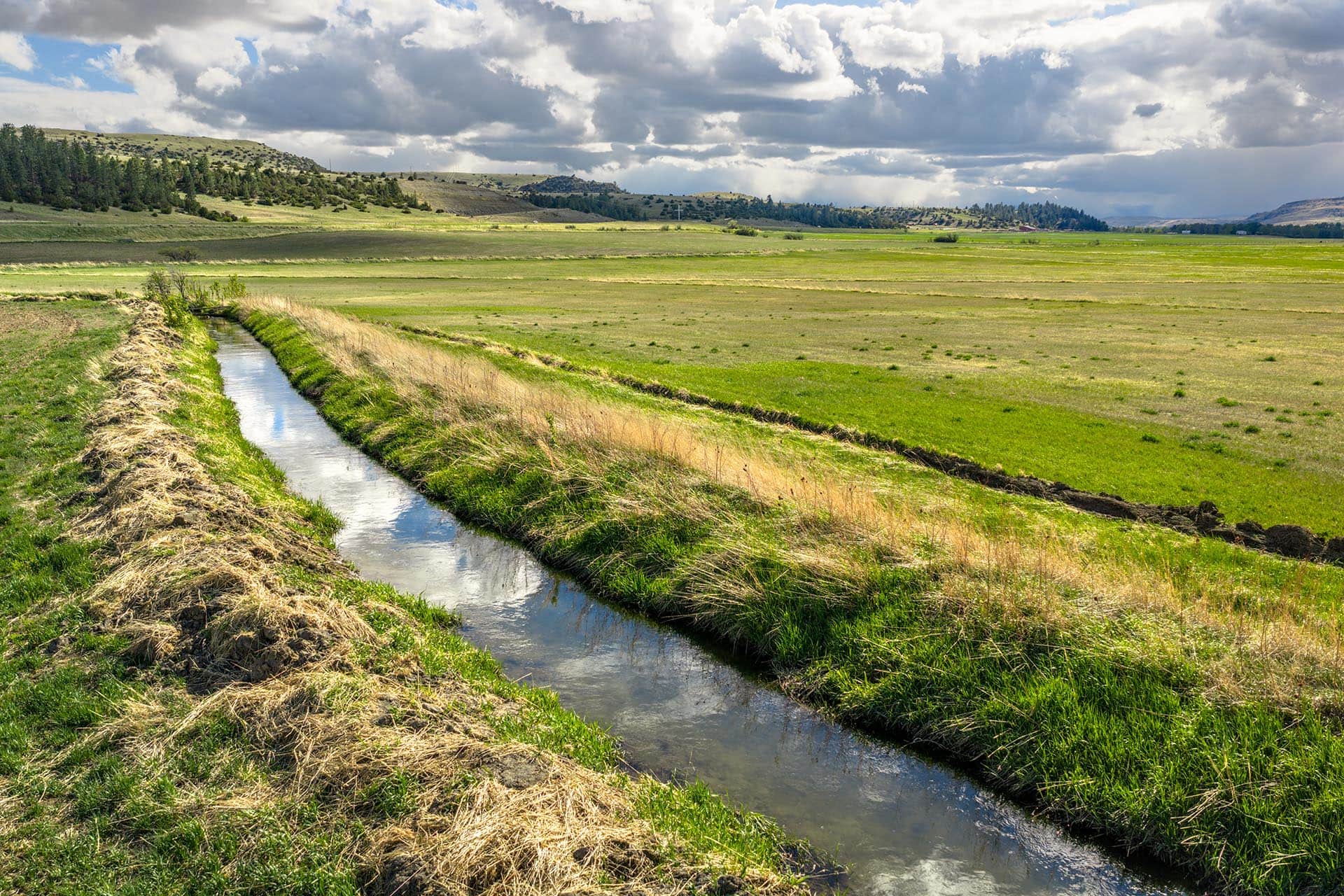 irrigated land for sale montana stillwater riffle ranch
