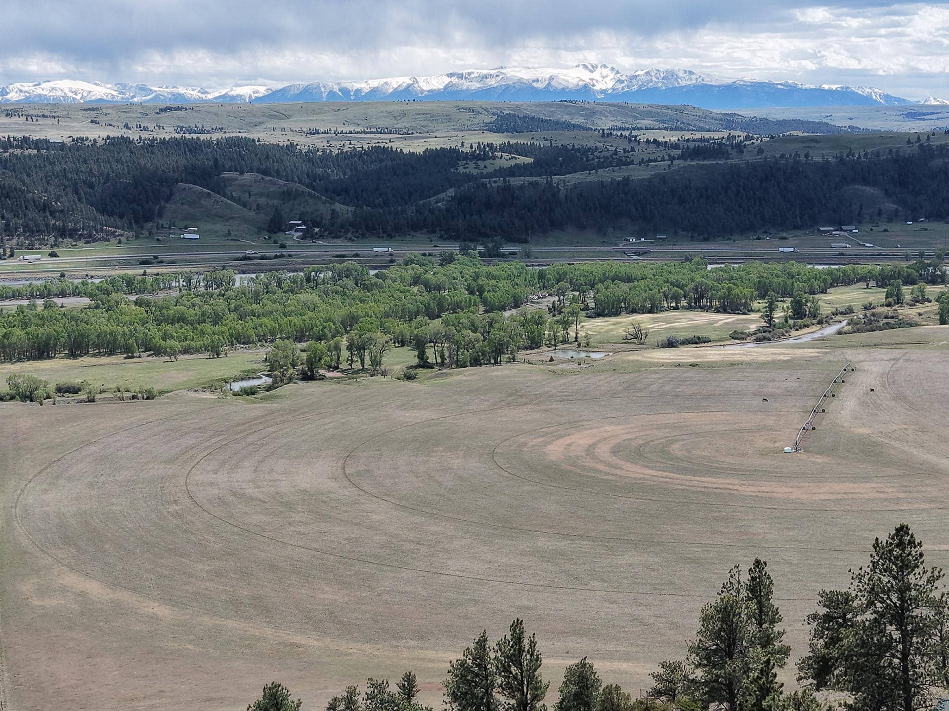irrigated land with mountain views for sale montana springtime ranch on the yellowstone river
