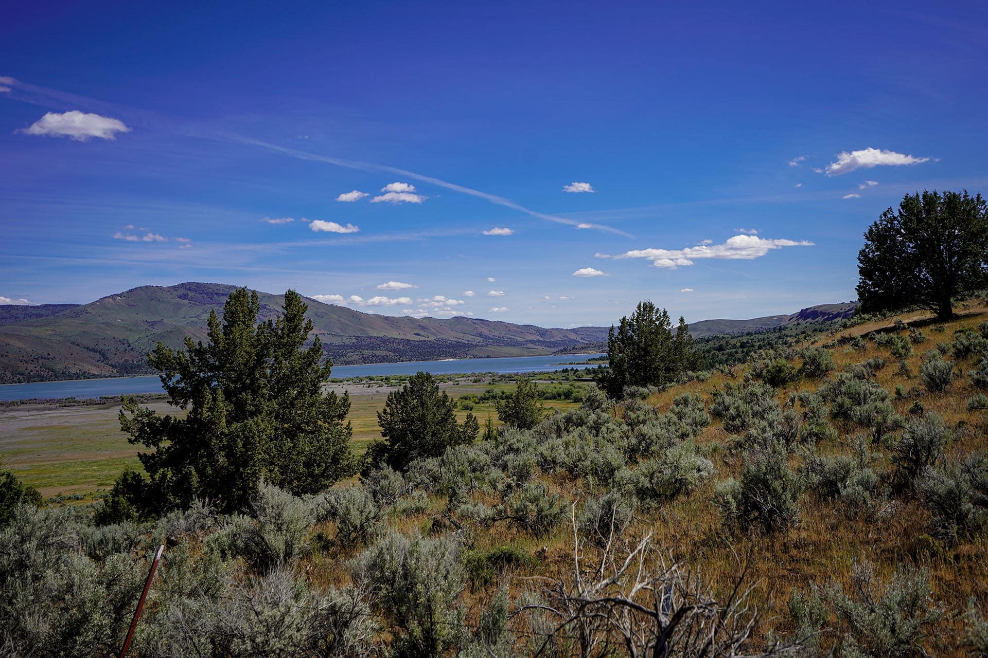 Wide hillside landscape with shrubs in the foreground, a blue river in the midground, and distant hills under a clear blue sky with scattered clouds.