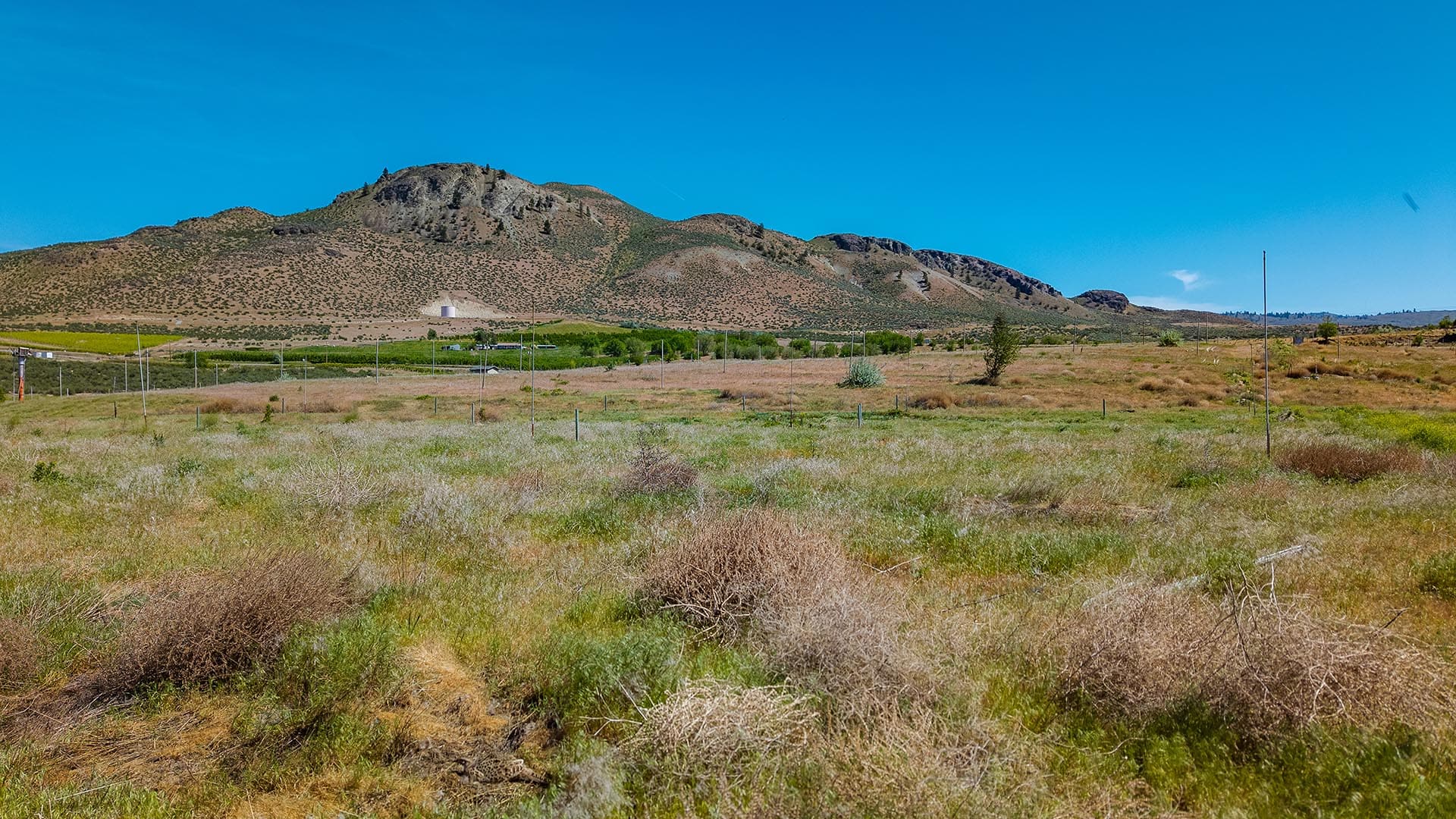 lakefront land with mountain views wshington orchard bay