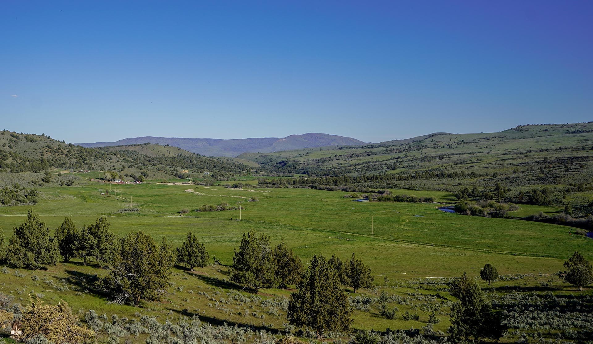 Wide valley with green fields, scattered trees, and distant hills under a clear blue sky.