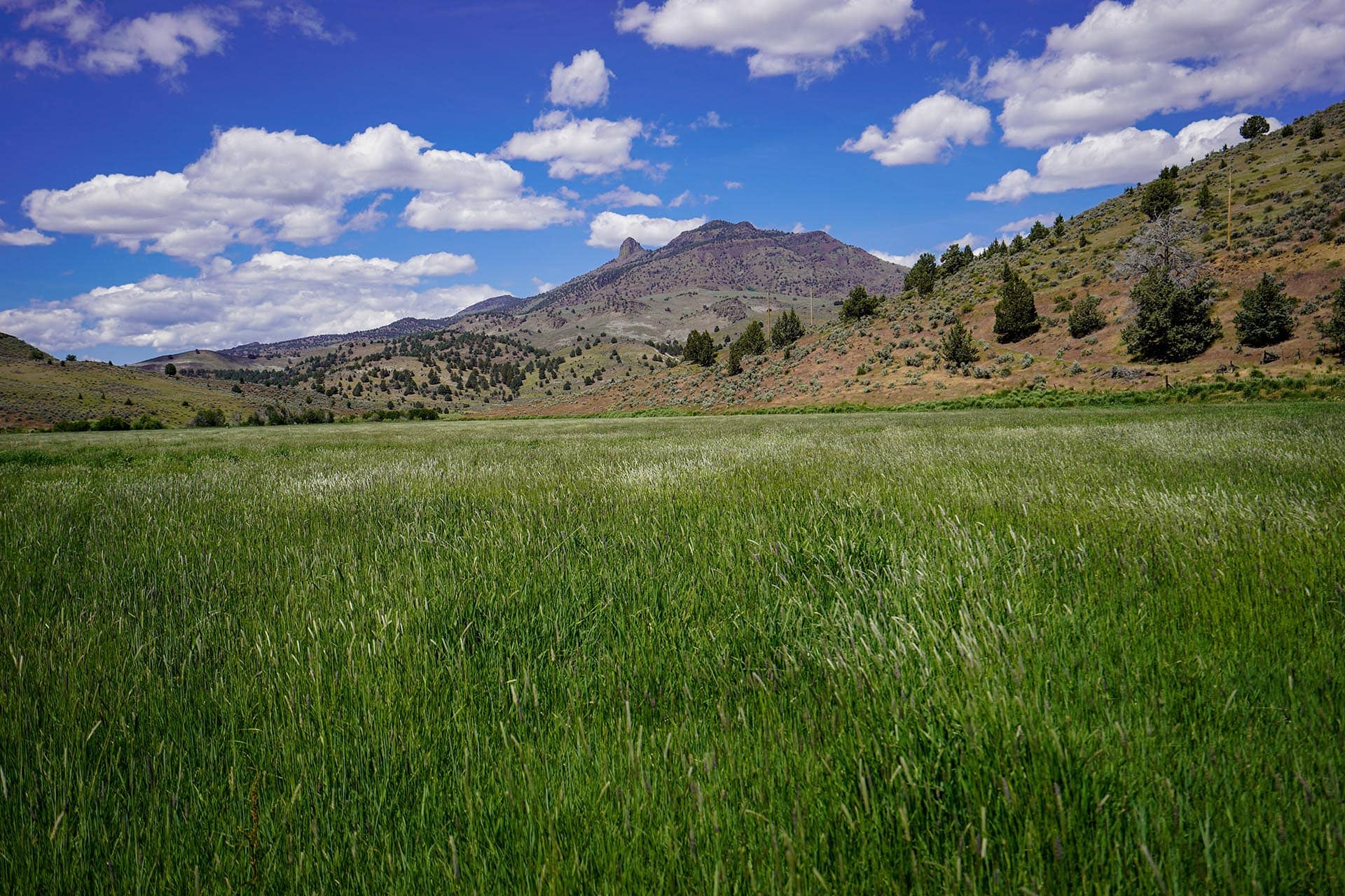 Green field in the foreground with rolling hills and a rocky mountain under a bright blue, cloud-filled sky.
