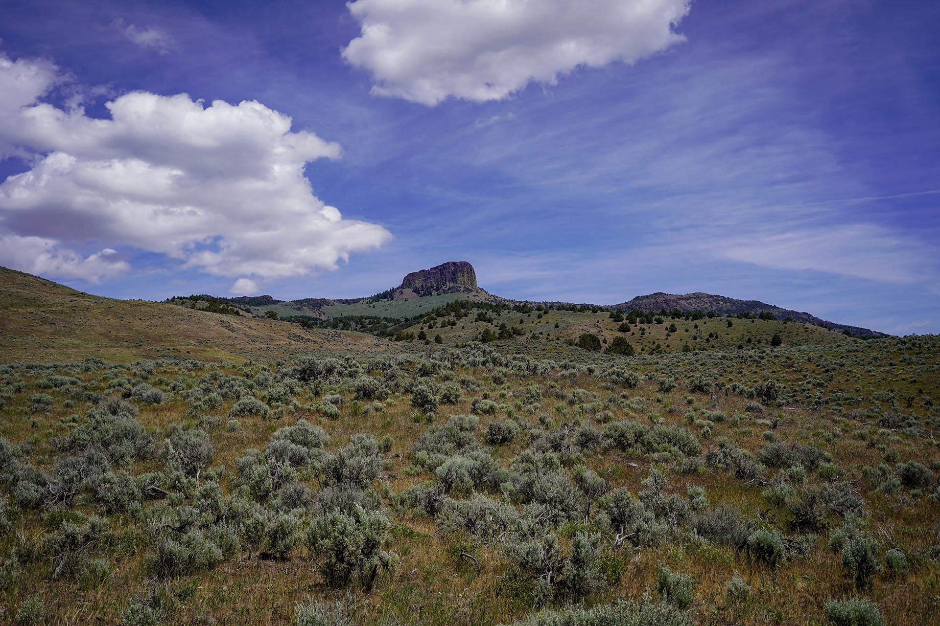 Open arid landscape with low shrubs and a distant rocky hill beneath a blue sky with scattered white clouds.
