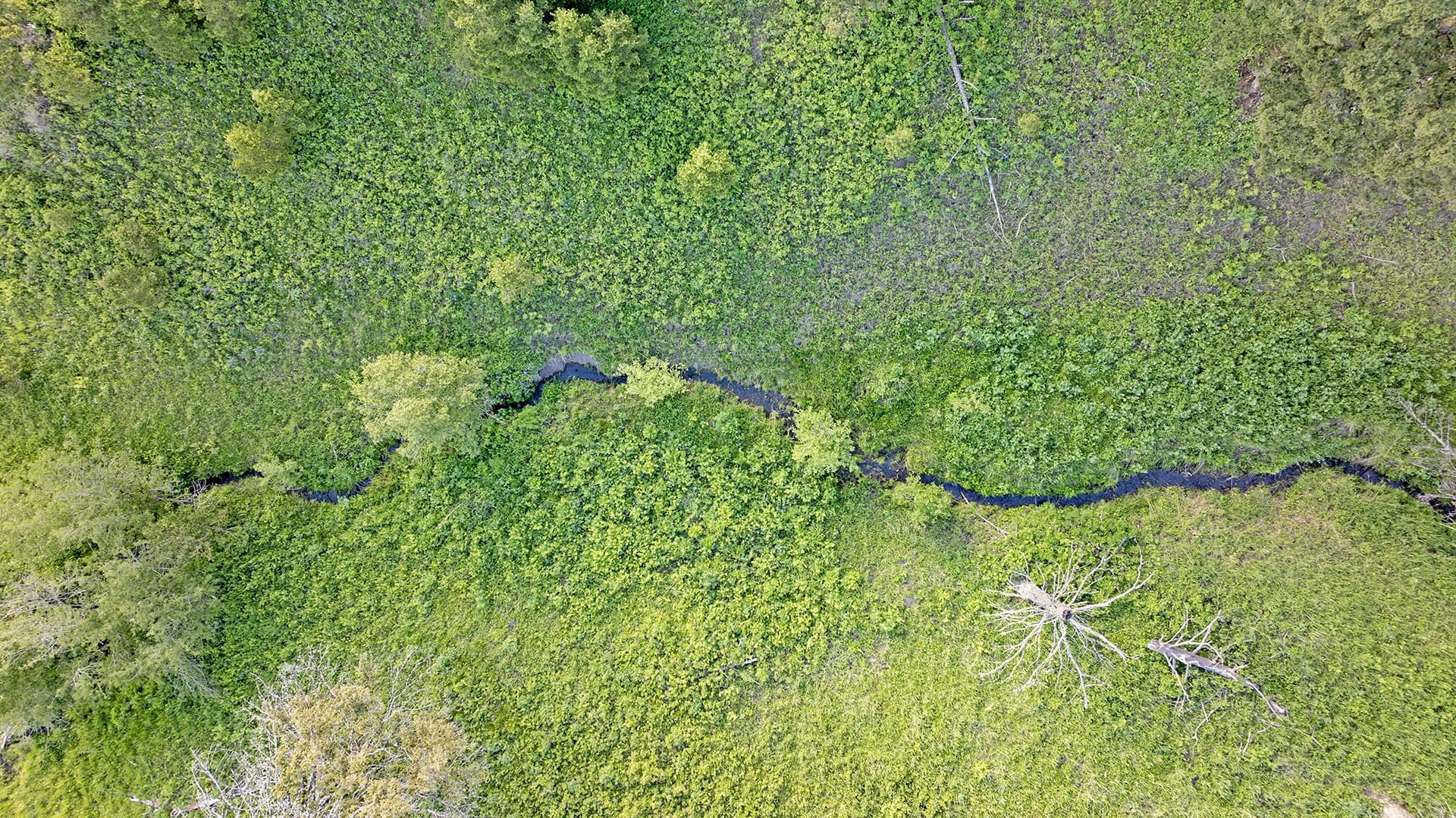 land with winding creek montana north bridger hunting retreat