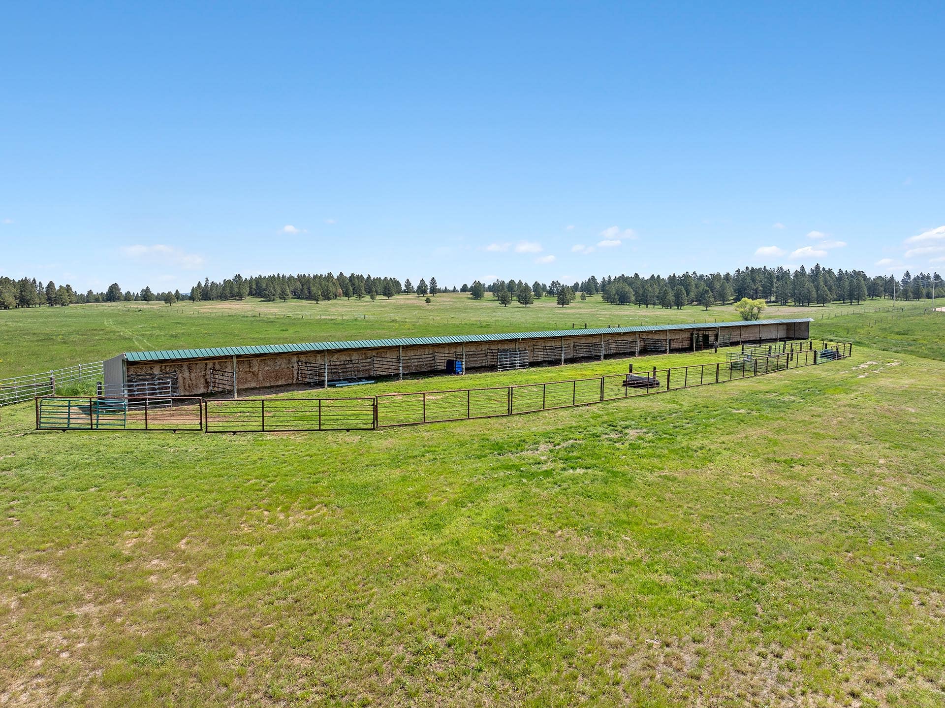 Wide rural pasture with a long wooden animal shelter along a fenced area under a bright blue sky.