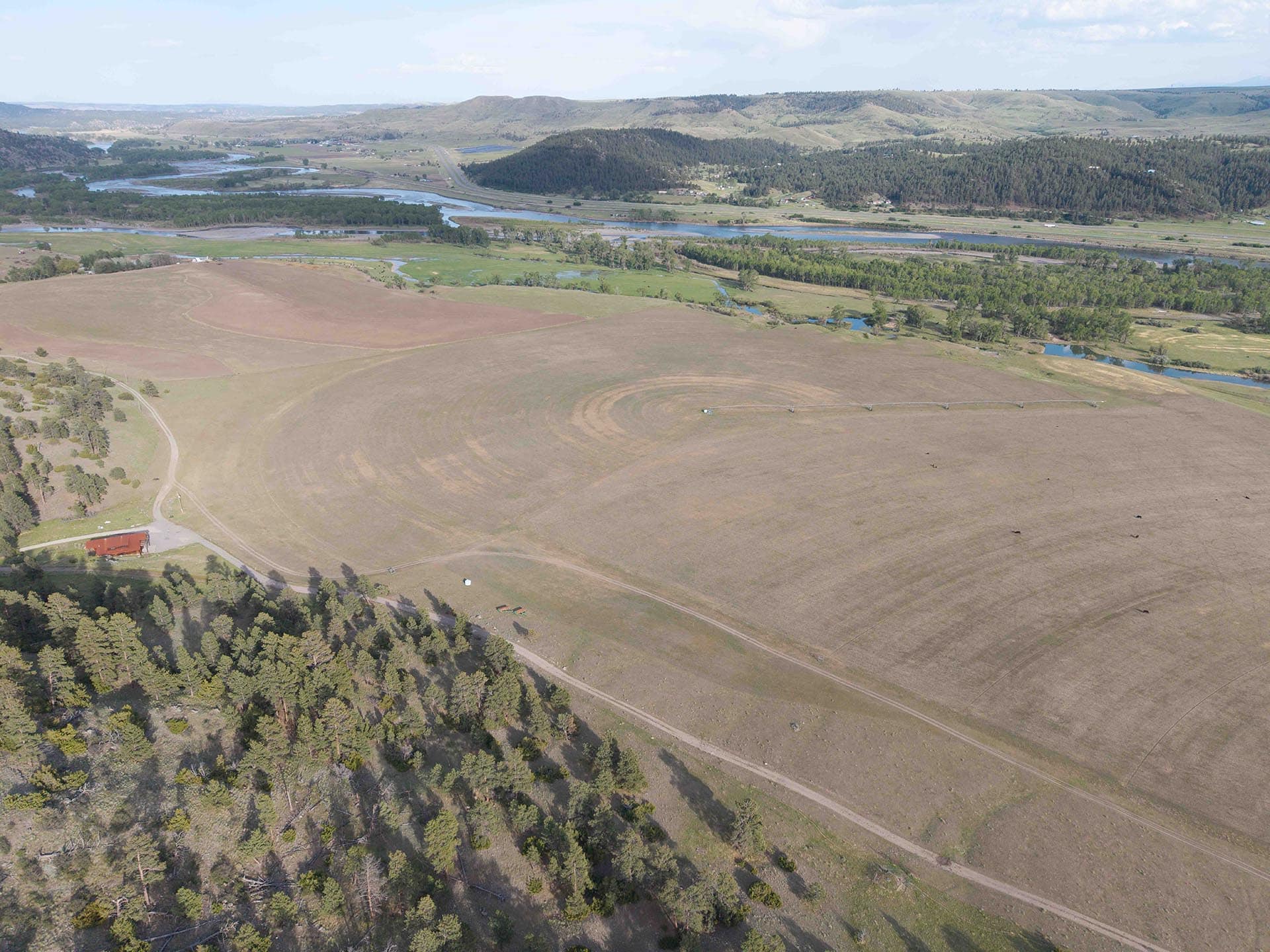 large acreage for sale montana springtime ranch on the yellowstone river