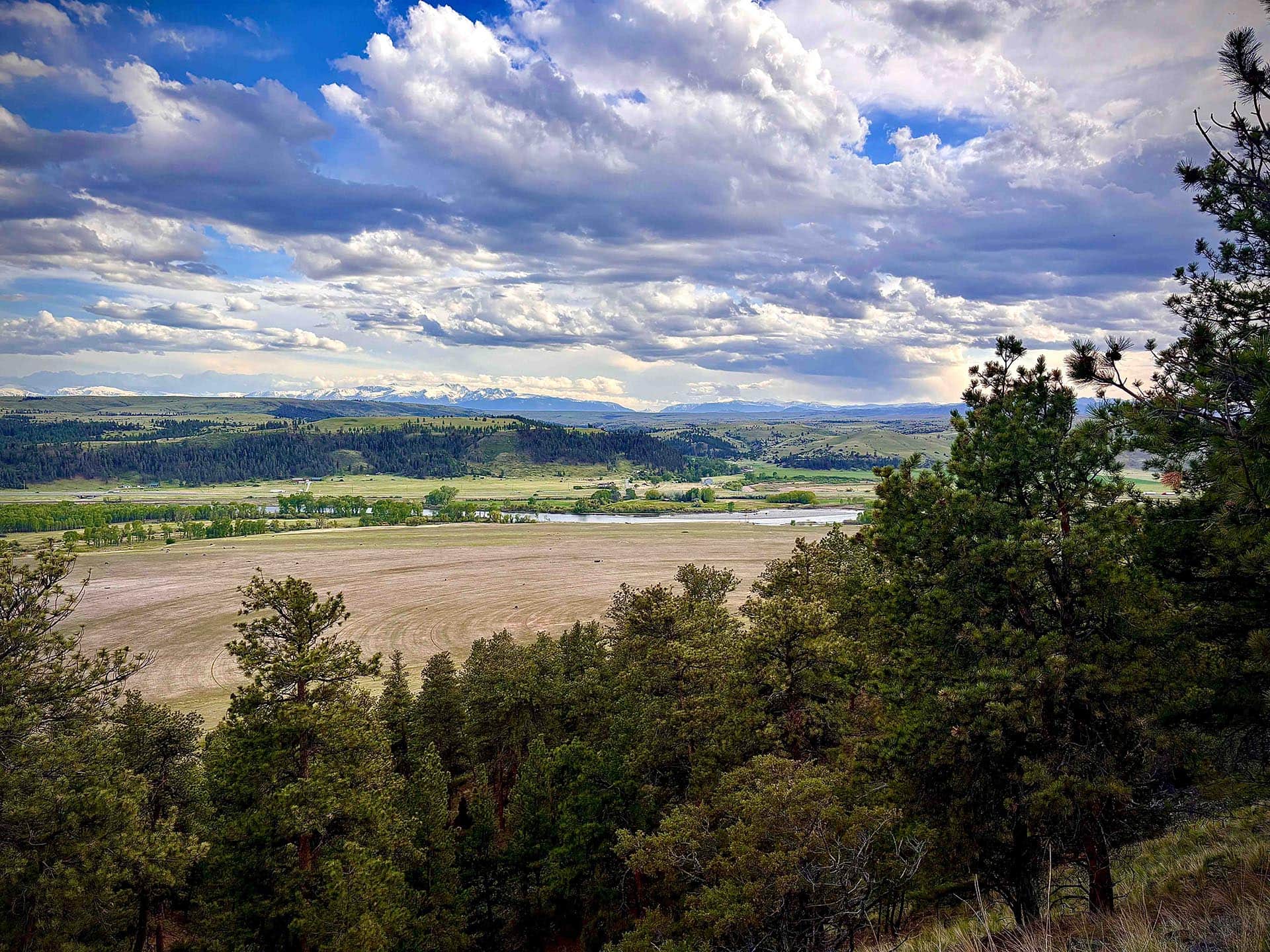 large acreage for sale with mountain views montana springtime ranch on the yellowstone river