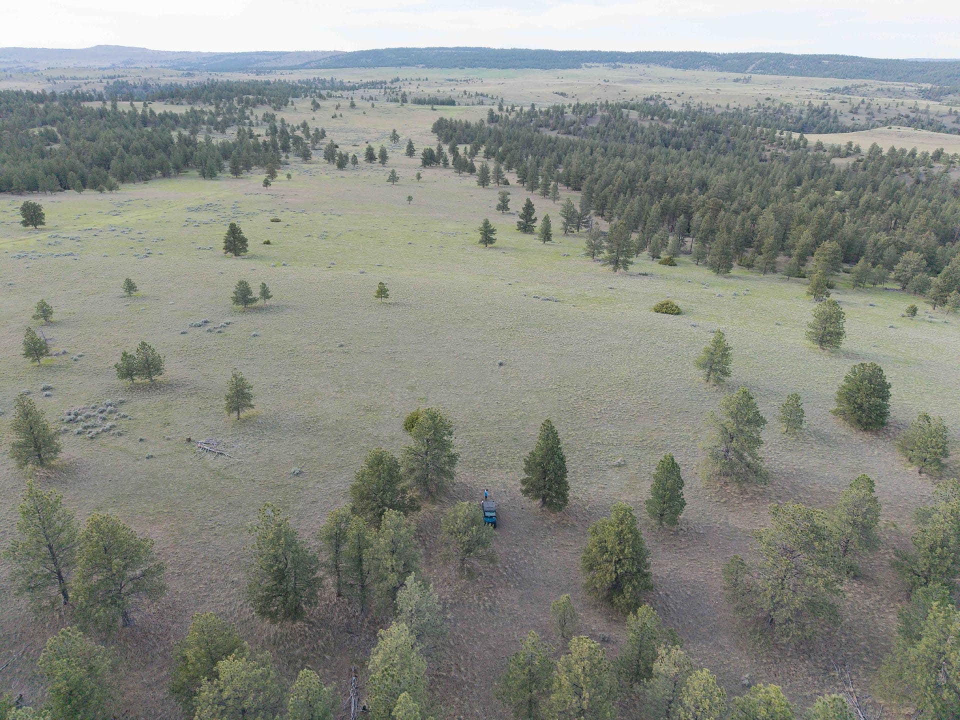 large acreage land for sale montana springtime ranch on the yellowstone river