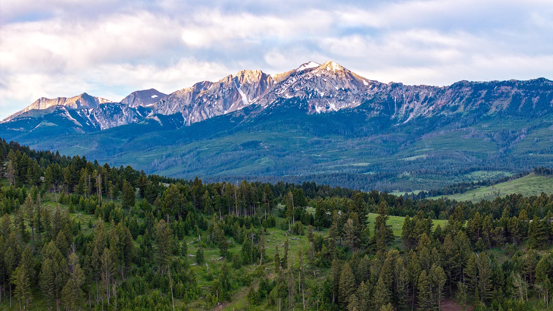 large acreage with forest montana north bridger hunting retreat