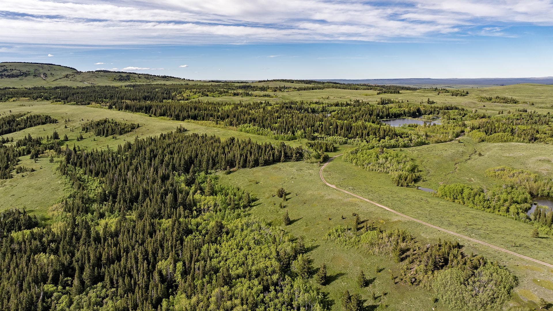 large acreage with ponds land for sale montana two medicine legacy ranch