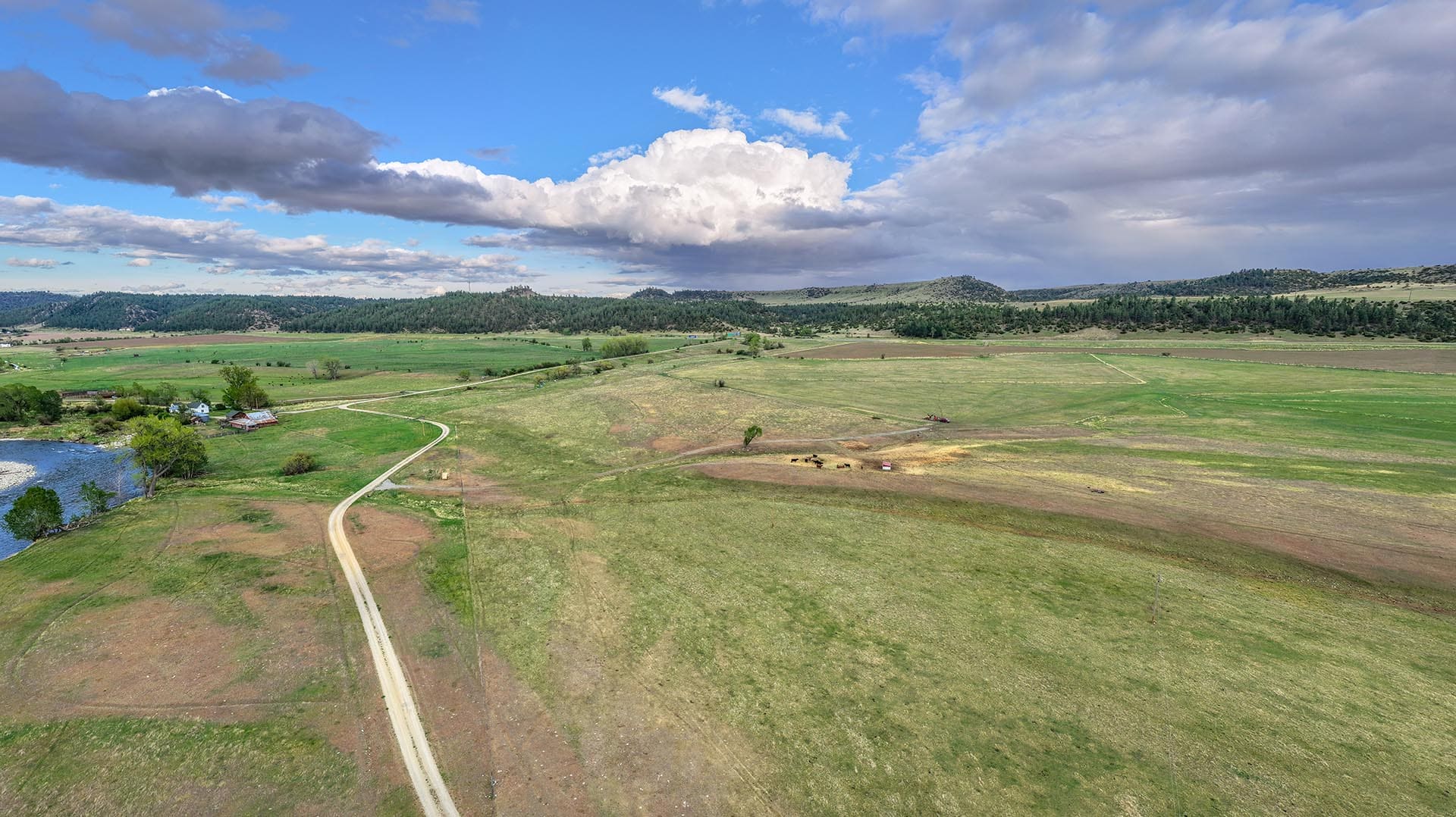 large open acreage with dirt road montana stillwater riffle ranch