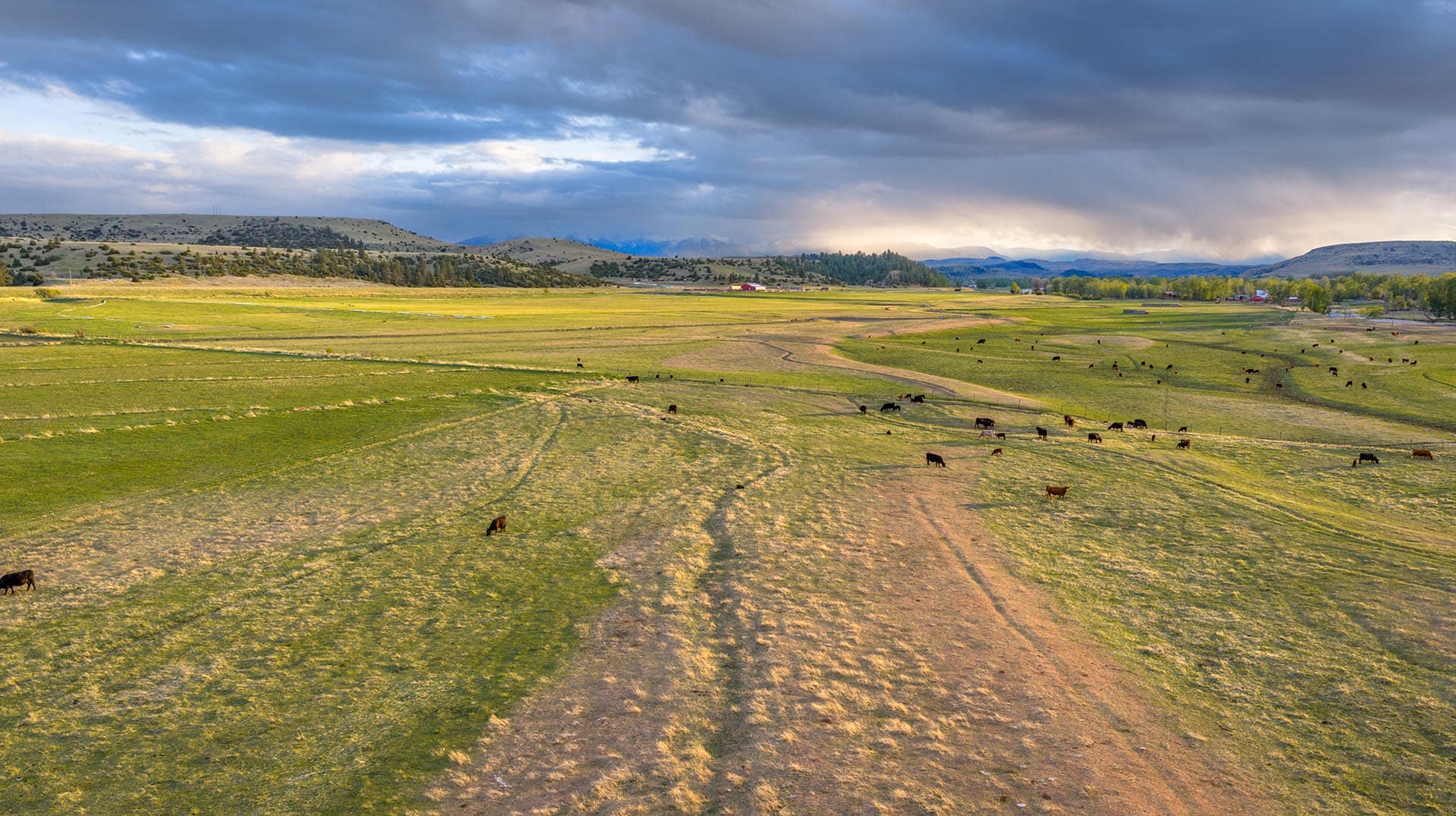 livestock grazing land montana stillwater riffle ranch