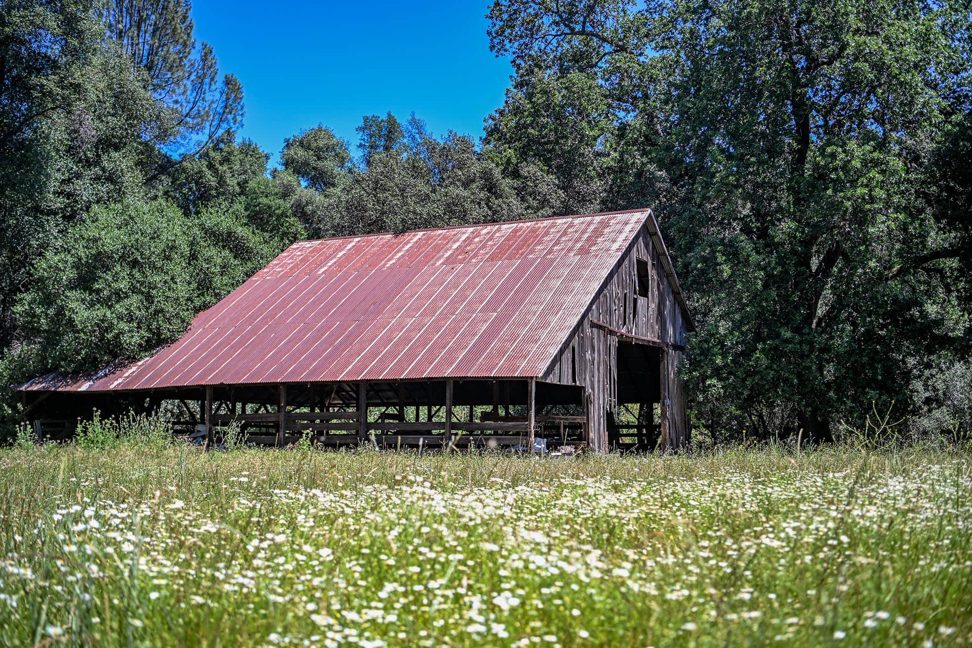 livestock property for sale california churn creek ranch