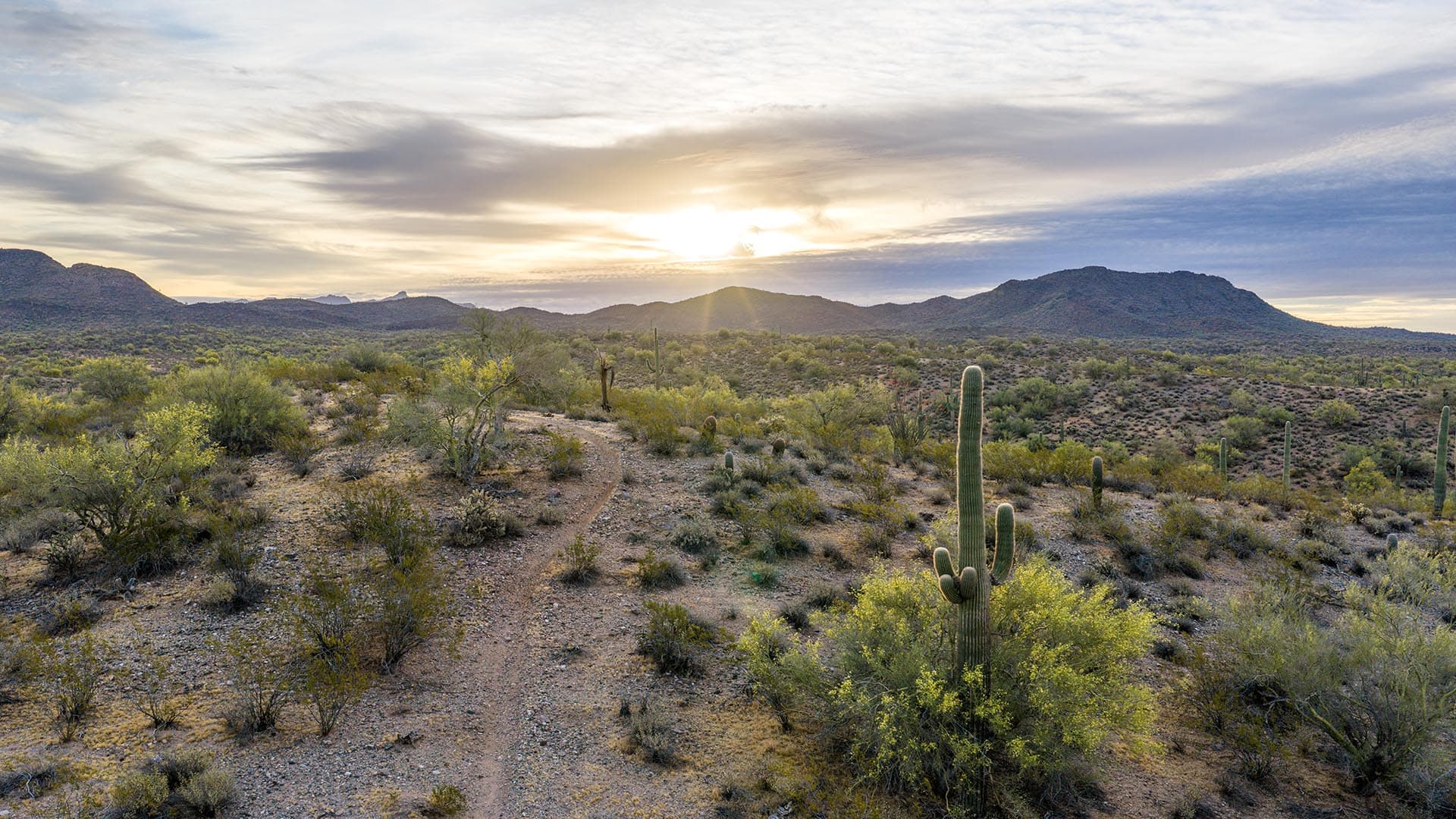 mineral rights arizona rogers wsh gold mine