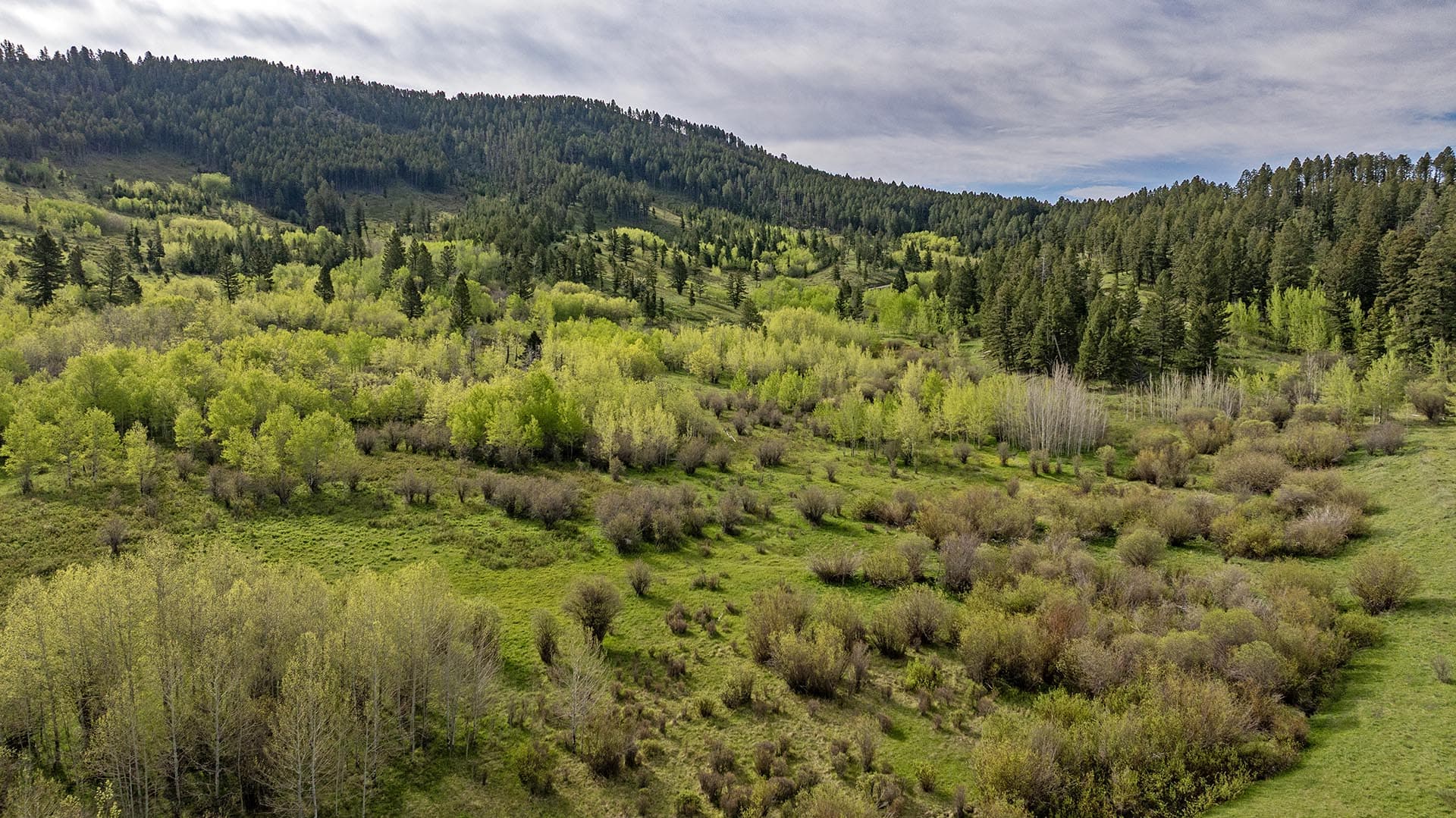 mixed timbered land for sale montana east bridger preserve