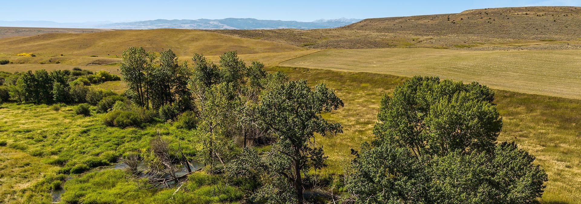 montana land for sale north fork horse creek