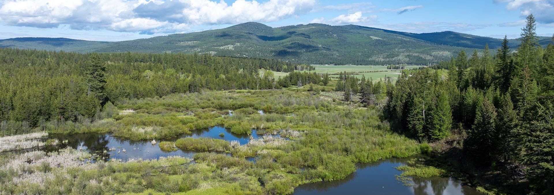 montana land for sale riley creek basin