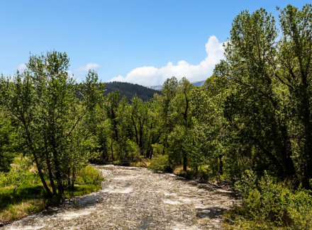 montana land for sale two rivers lodge