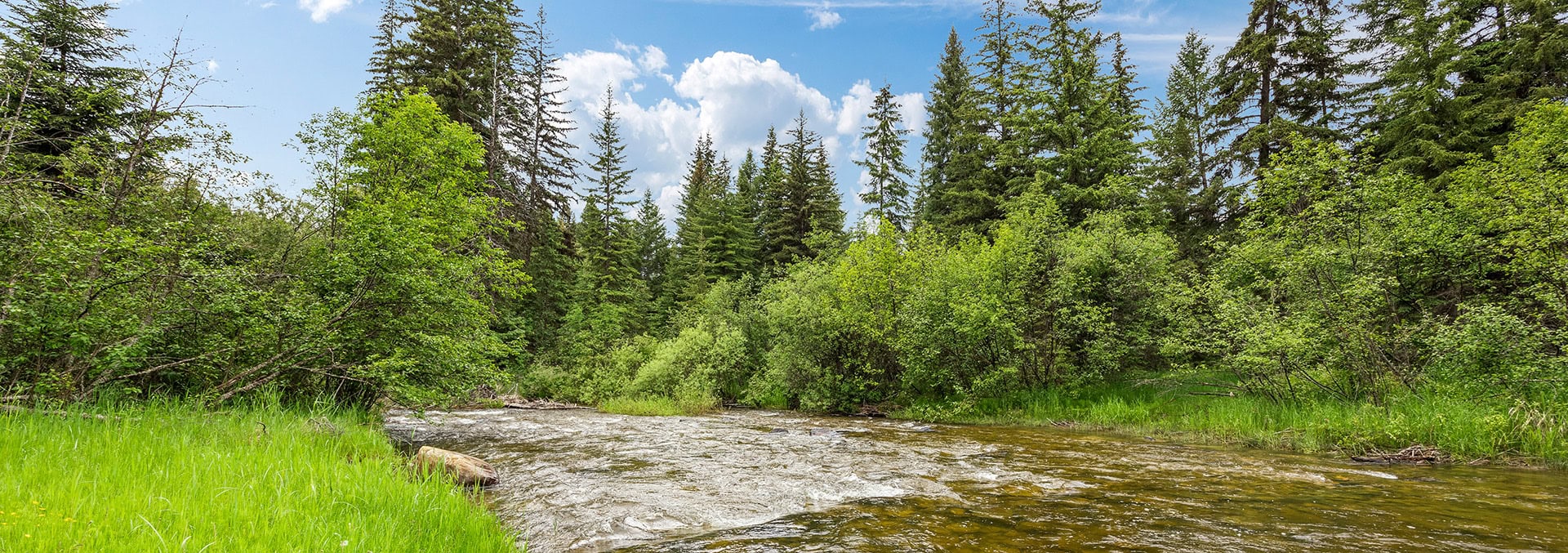 montana property for sale fortine creek overlook estate