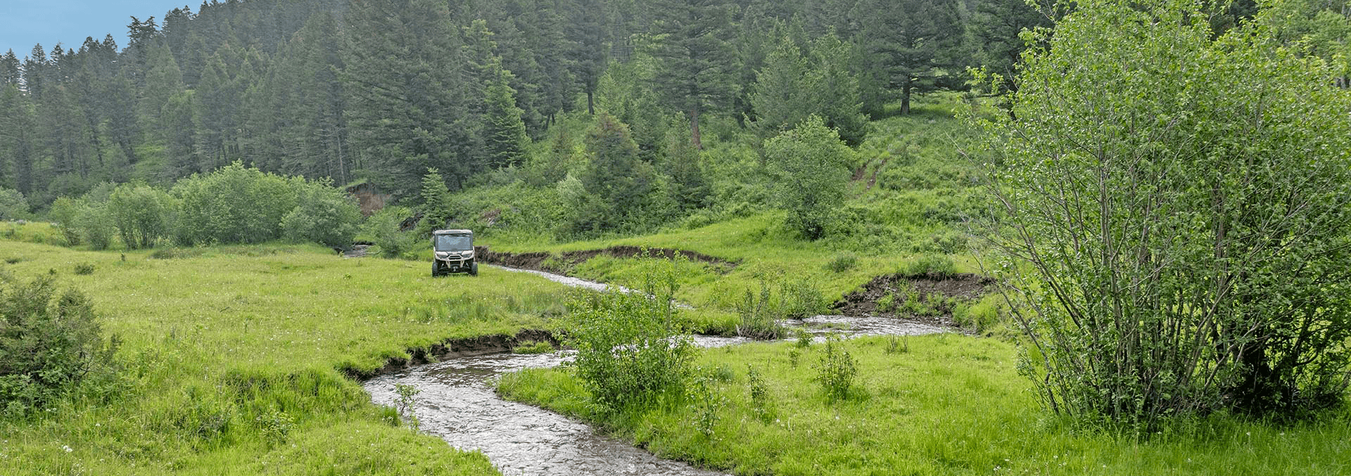 UTV driving along a muddy creek in a green meadow with a pine forest in the background
