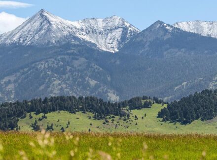 montana property for sale north fork horse creek