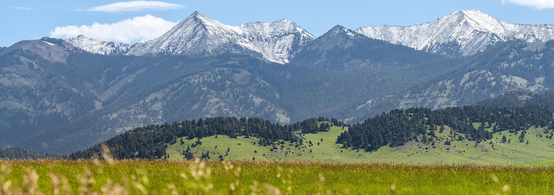 montana property for sale north fork horse creek