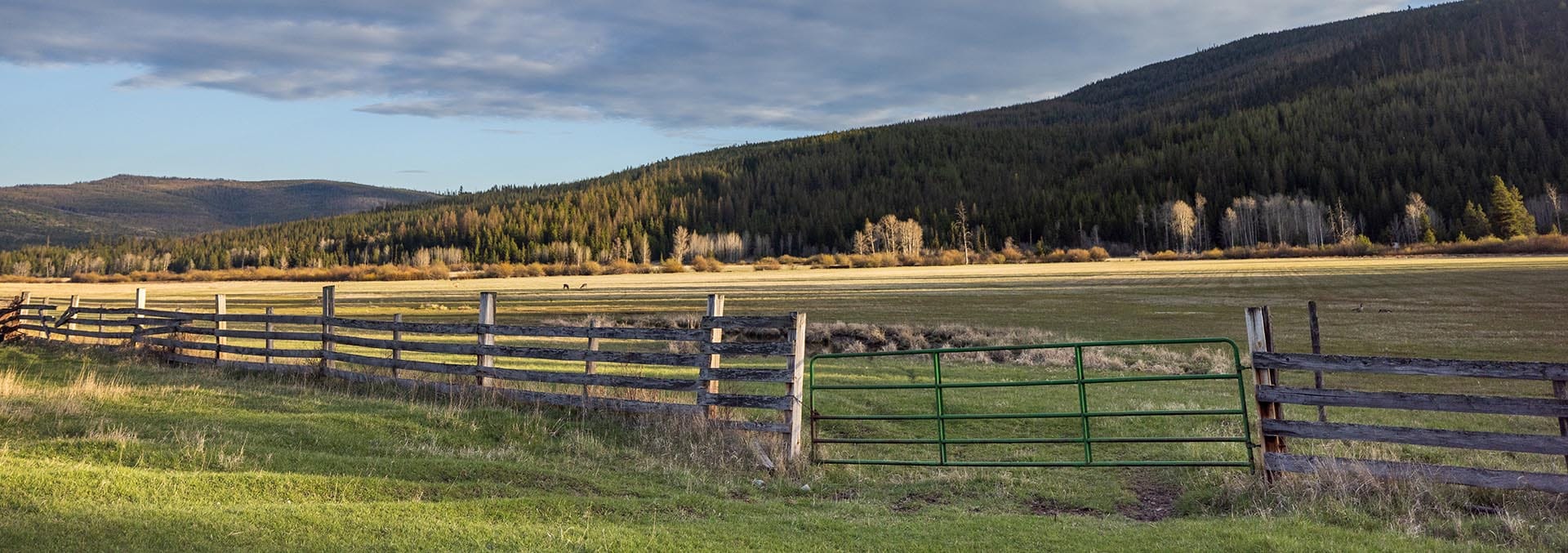 montana property for sale riley creek basin