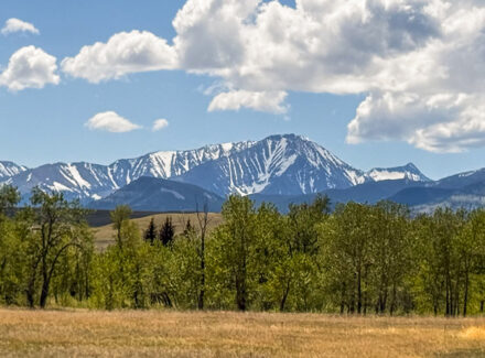 montana ranch for sale crazy views ranch
