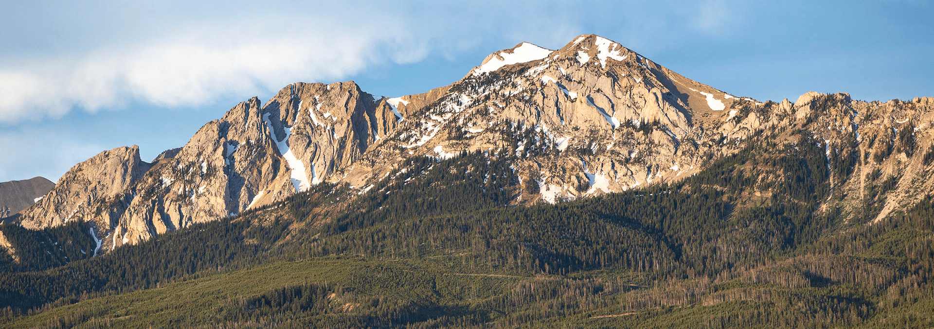 Snow-dusted mountain range rising over a dense evergreen forest under a clear blue sky.