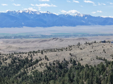 Panoramic view of a desert valley: sand dunes in the midground, evergreen forest in the foreground, and a snow-capped mountain range in the distance; a small house on a hill.