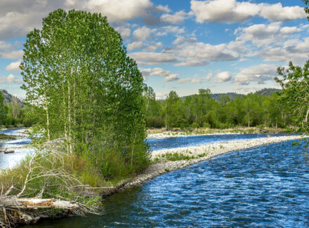 montana river property for sale stillwater riffle ranch