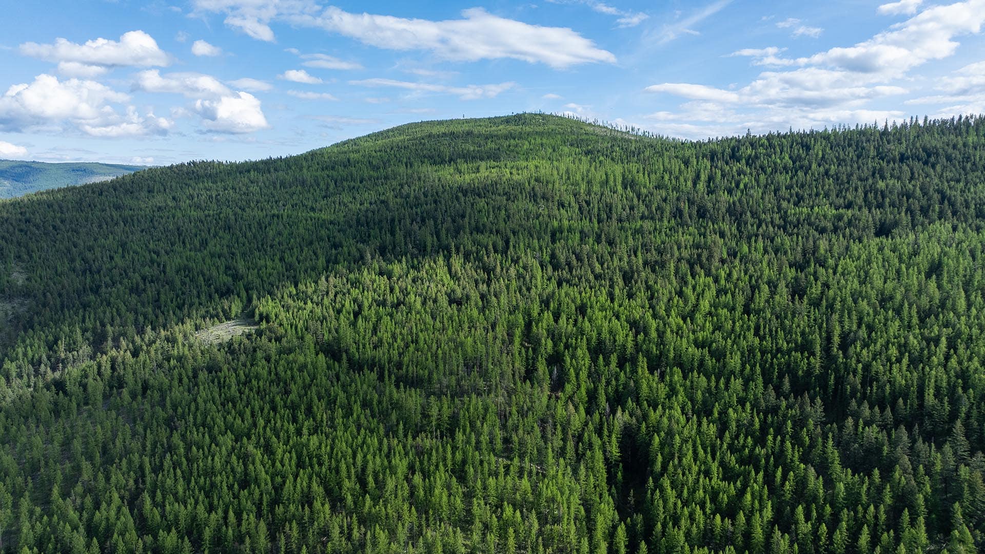 mountain basin montana riley creek basin