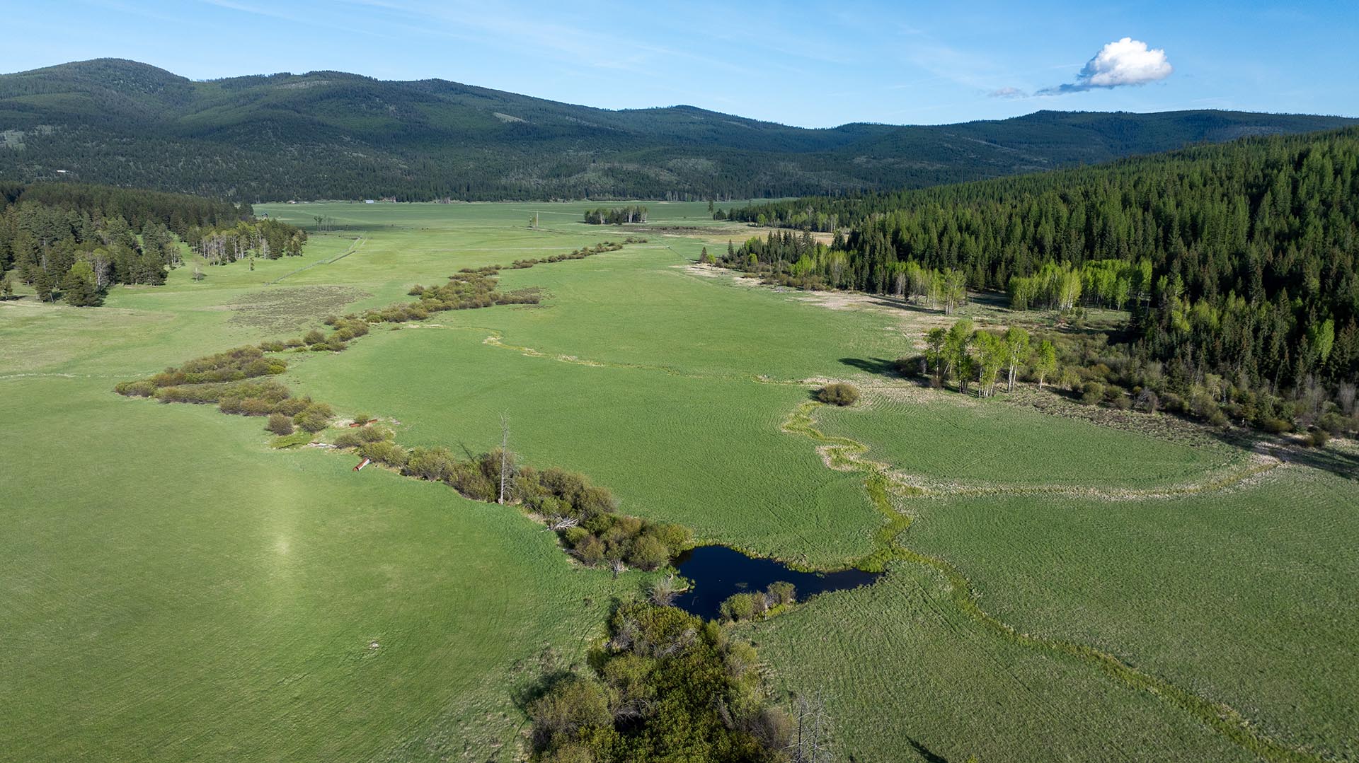 mountain hay ground montana riley creek basin