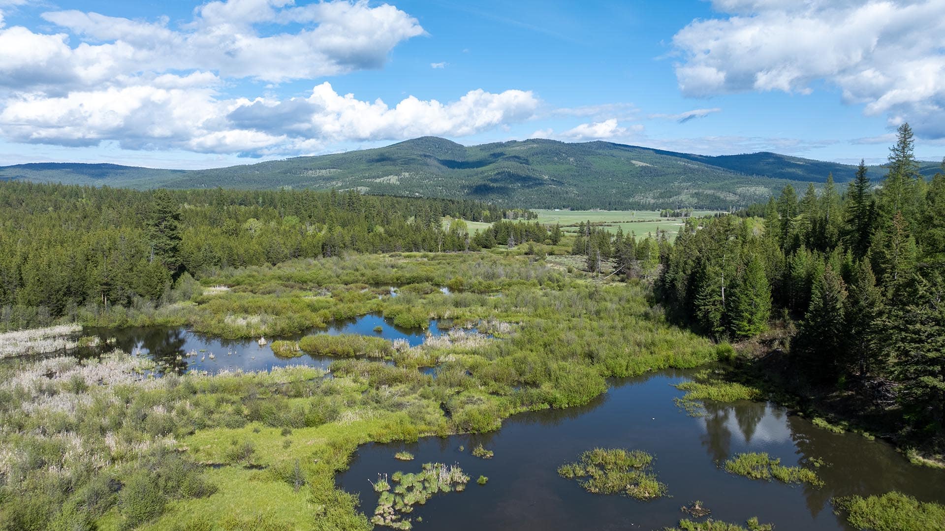 mountain marsh montana riley creek basin