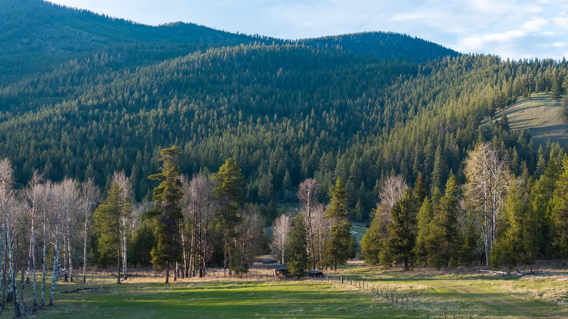 mountain meadow montana riley creek basin
