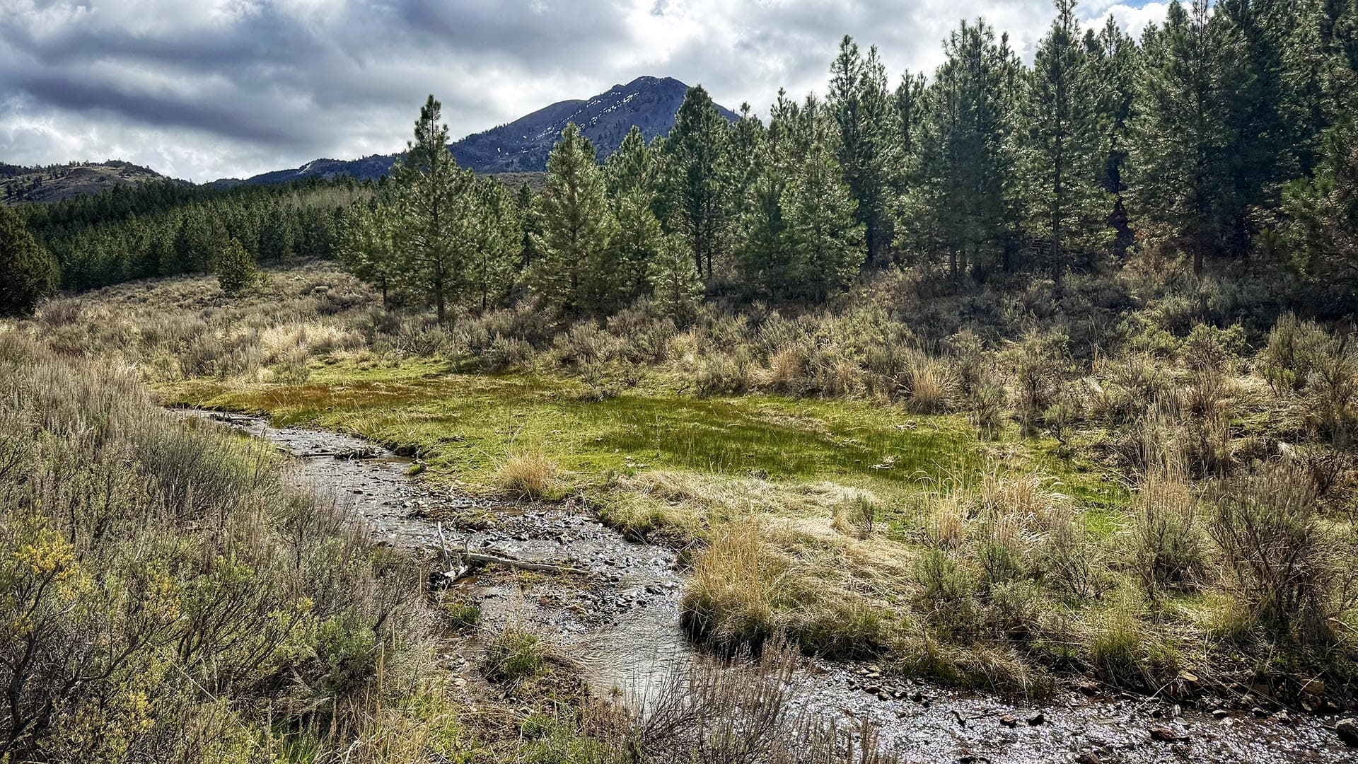 mountain stream and timbered land oregon ironside castle rock ranch