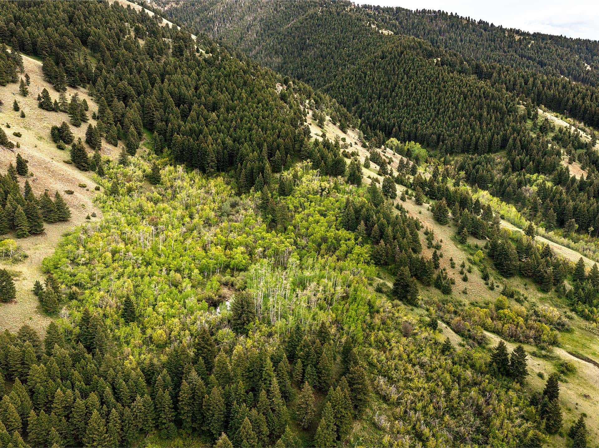 mountain stream land montana bozeman creekside hideaway