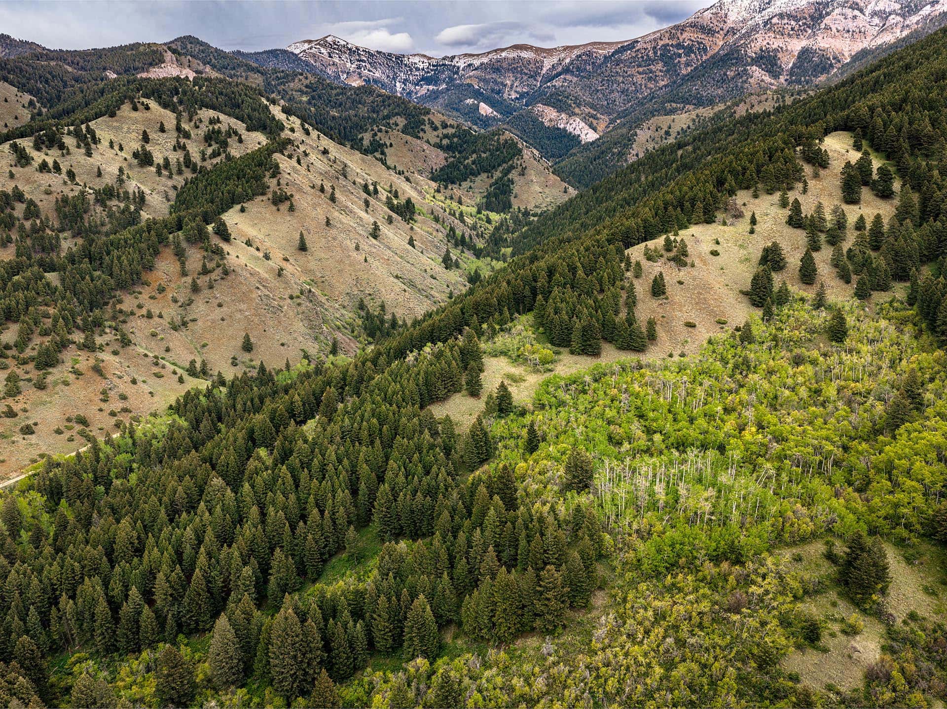 mountain valley land for sale montana bozeman creekside hideaway