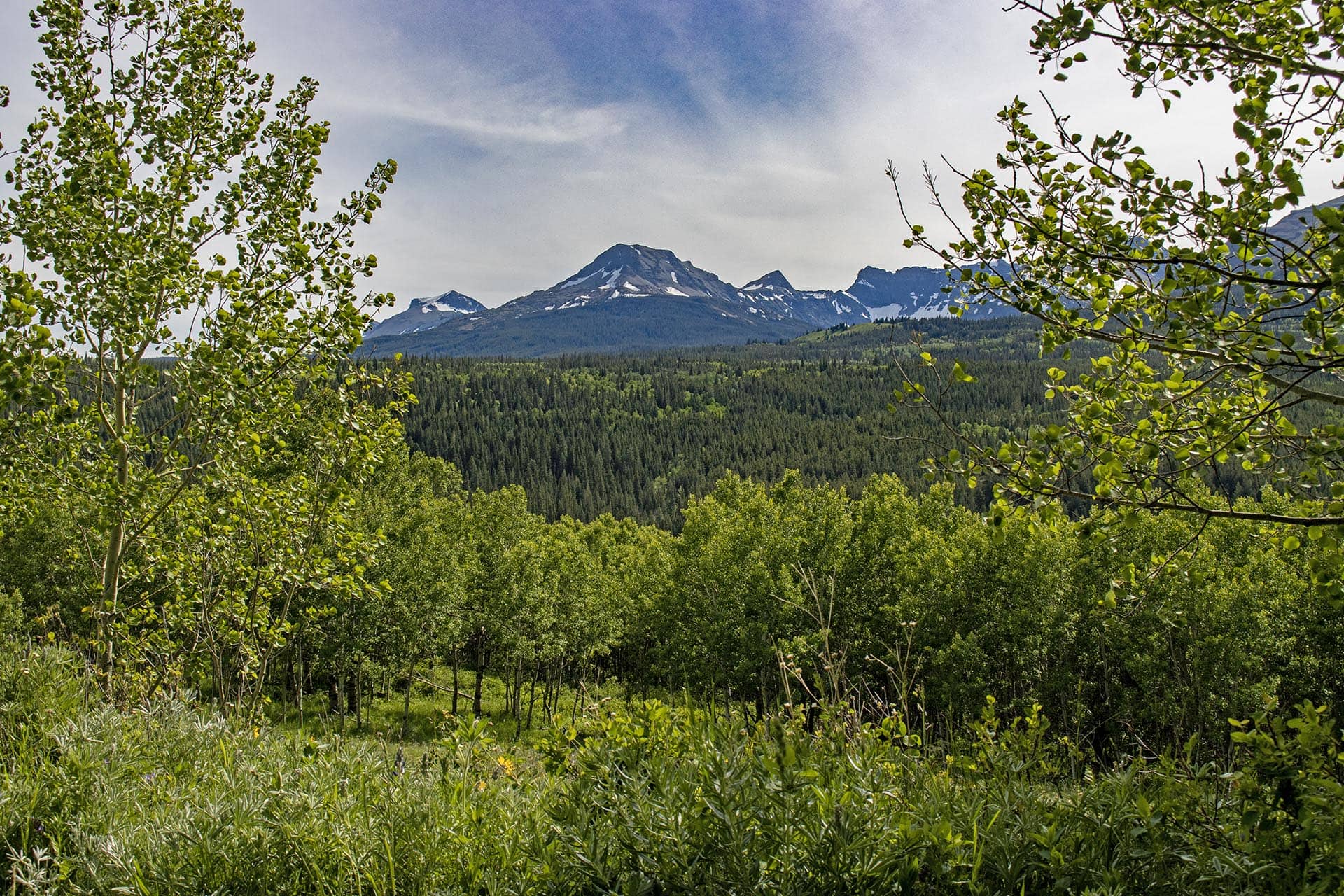 mountain view forest land montana two medicine legacy ranch
