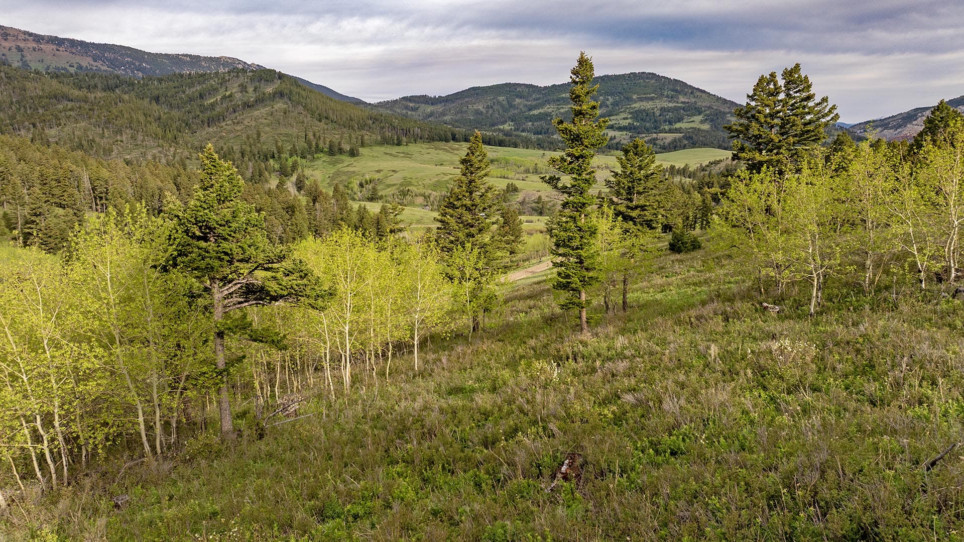 mountain view land for sale montana east bridger preserve