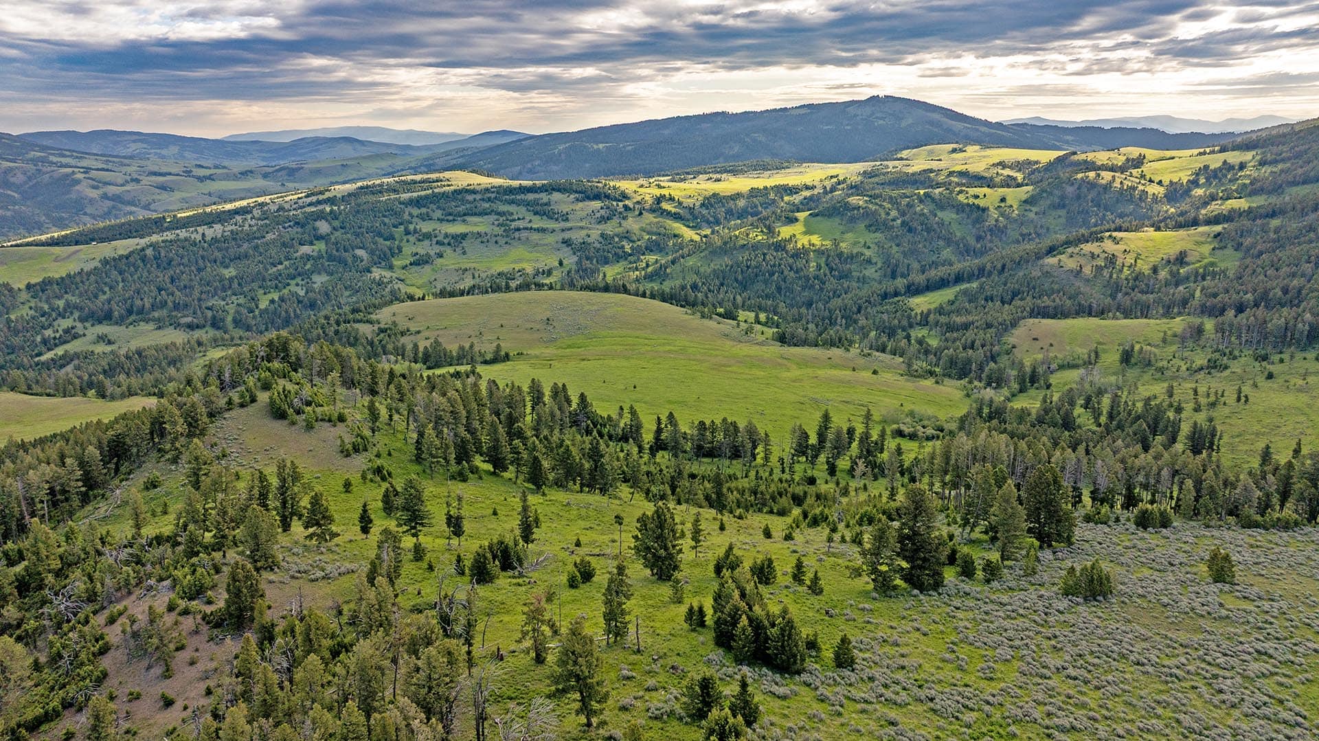 mountain view land for sale montana north bridger hunting retreat