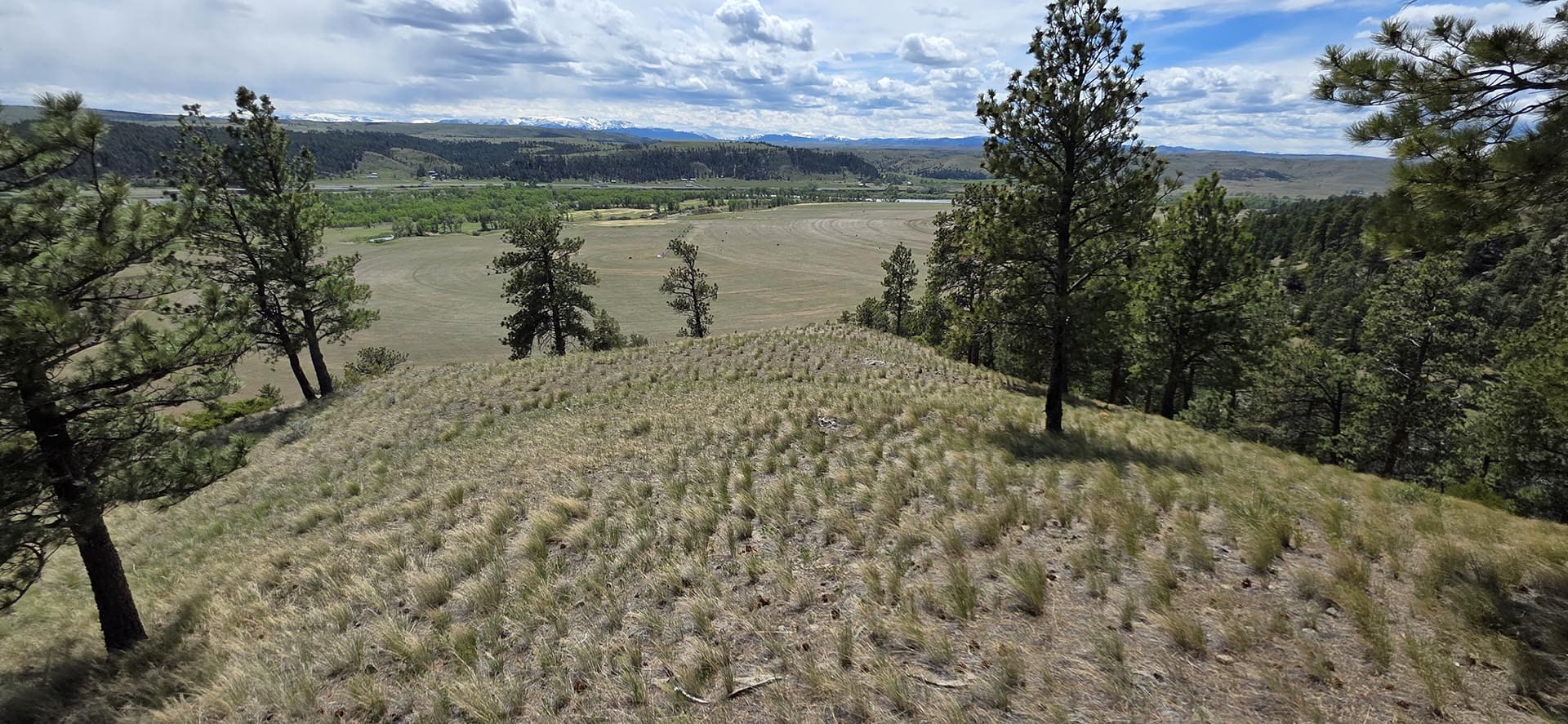 mountain view land montana springtime ranch on the yellowstone river