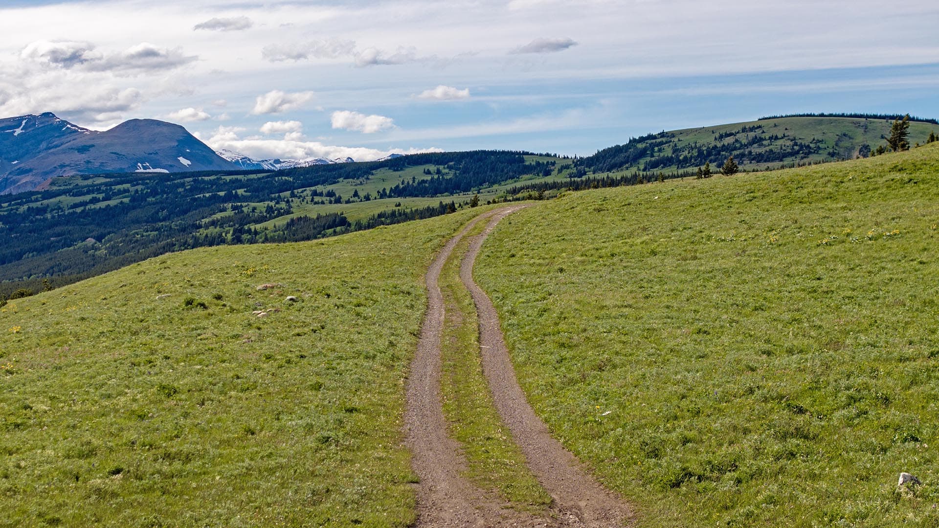 mountain view pasture land montana two medicine legacy ranch