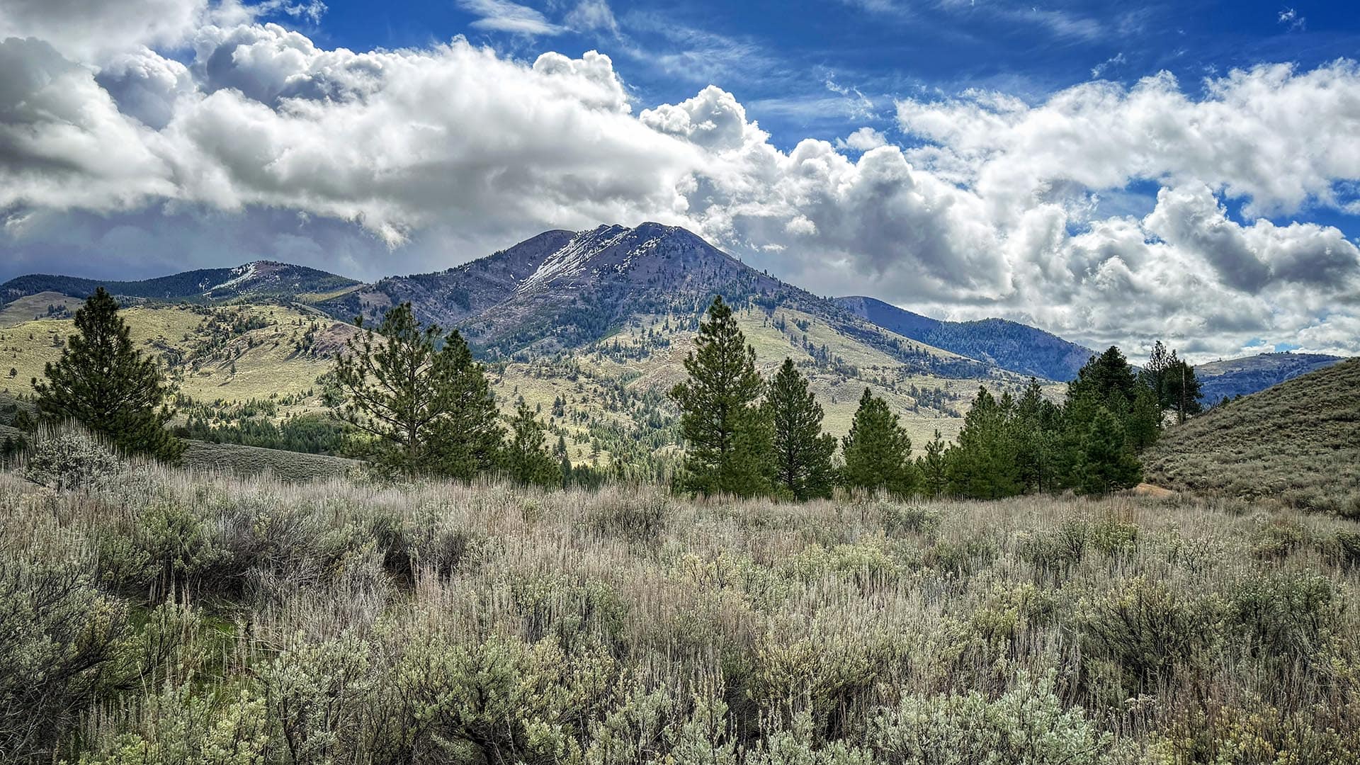 Mountain landscape with snow-dusted peak, rolling hills, and evergreen trees under a dramatic cloudy sky, foreground scrub.