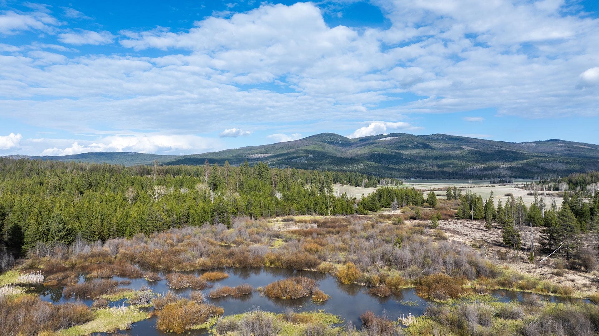 mountain wetlands montana riley creek basin