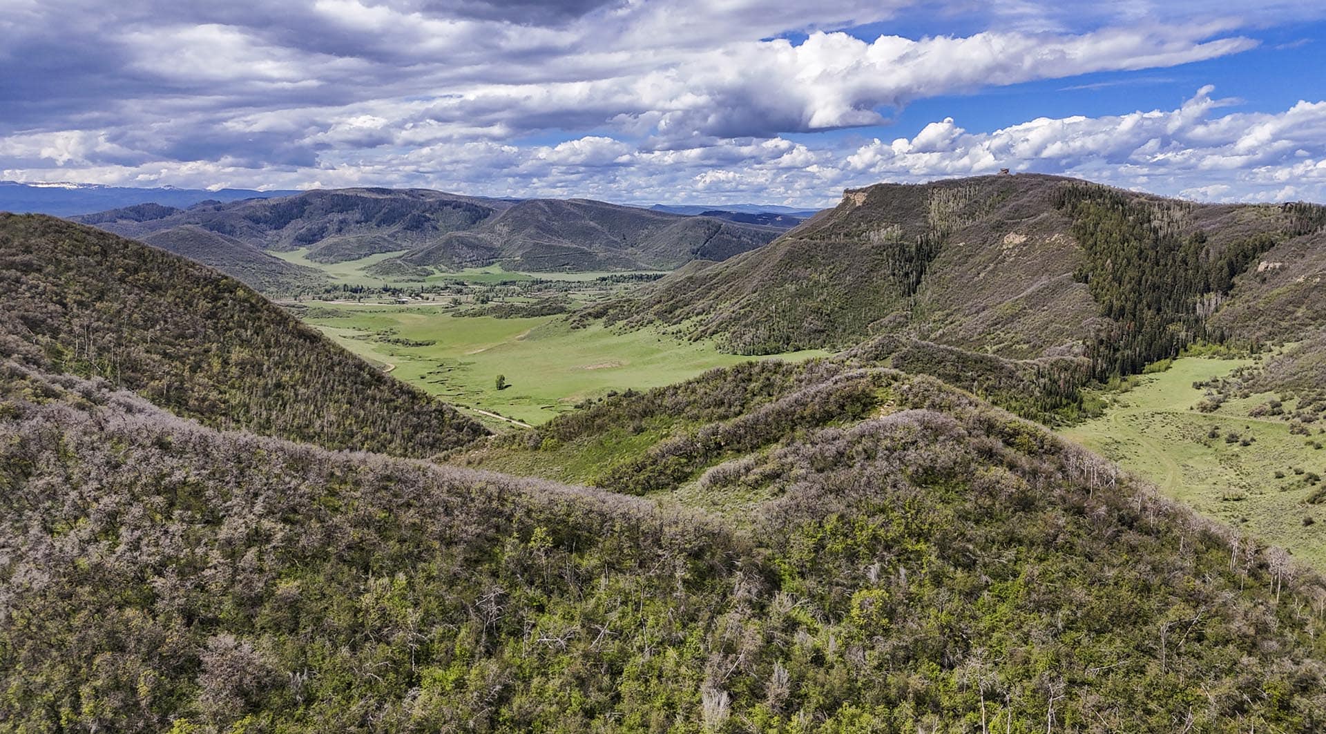 mule deer hunts colorado doc utterback elk ranch