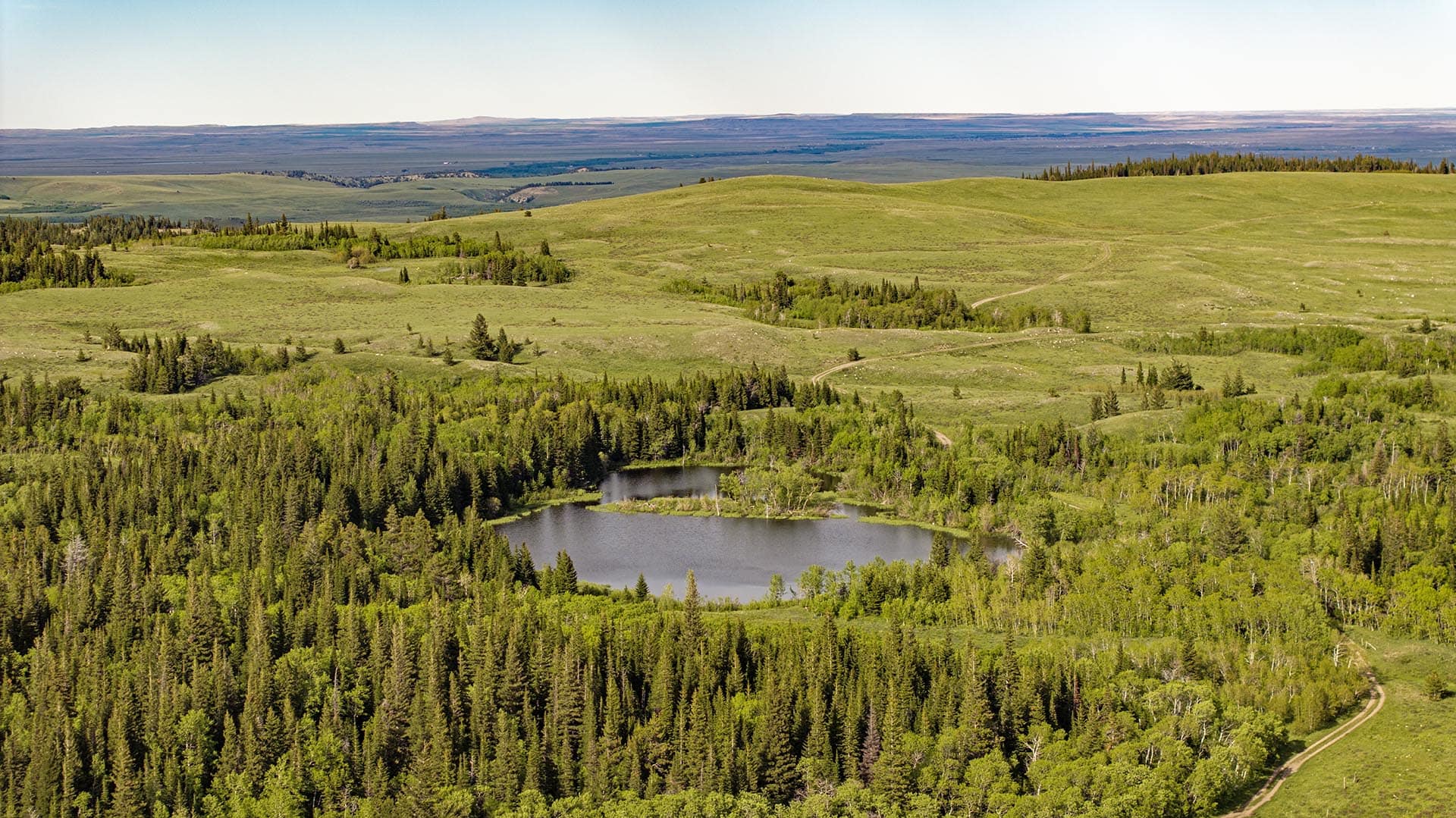 multiple lakes timber land montana two medicine legacy ranch
